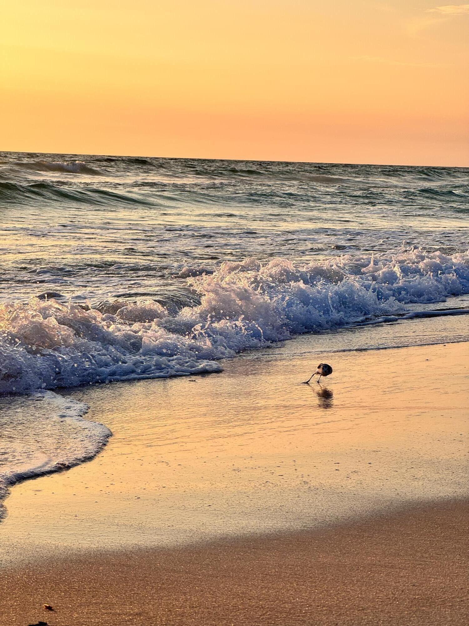 Sea Gull Beach - Residential