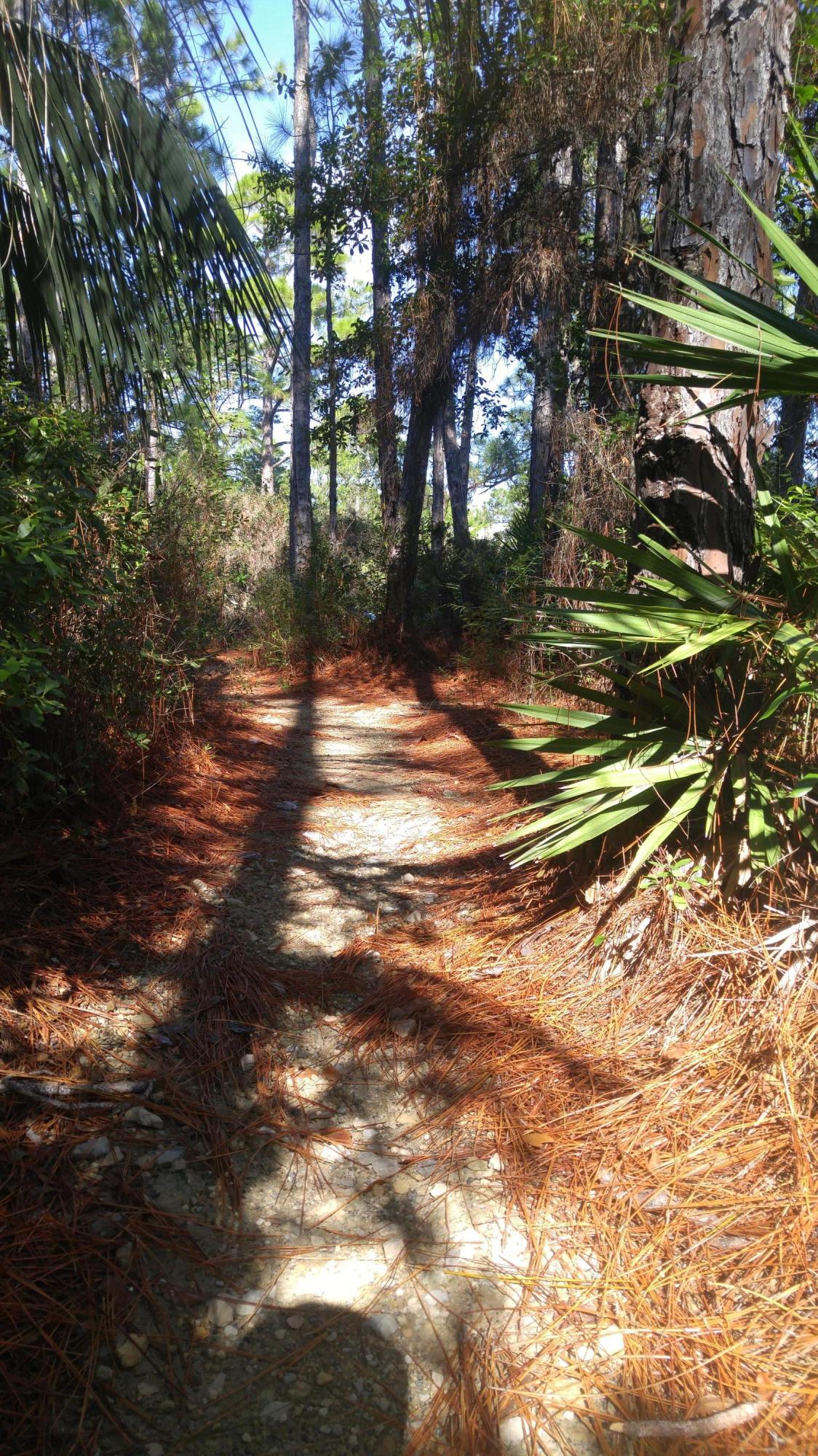 GROVE BY THE SEA - Residential