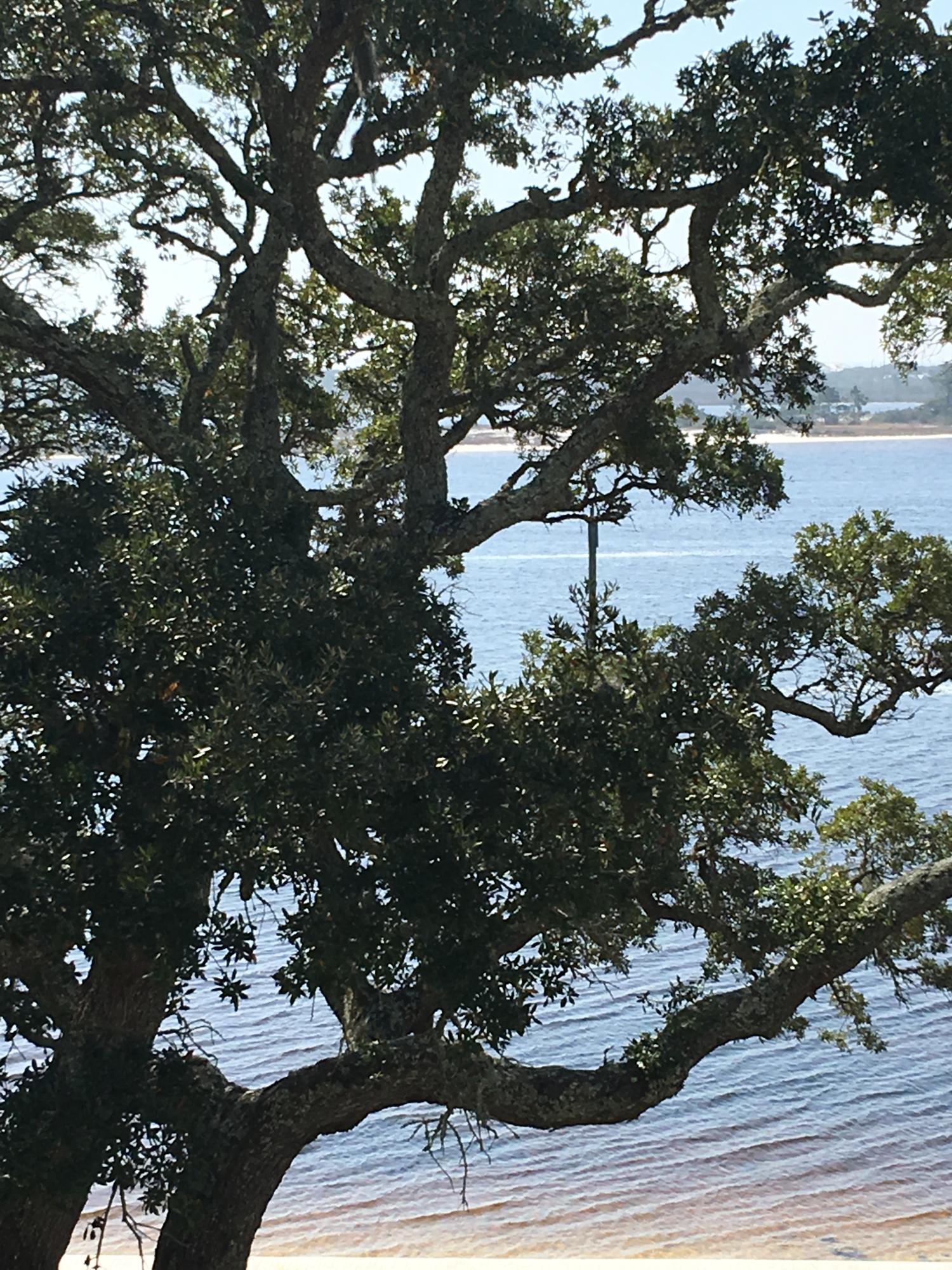 CEDARS CONDO - Residential