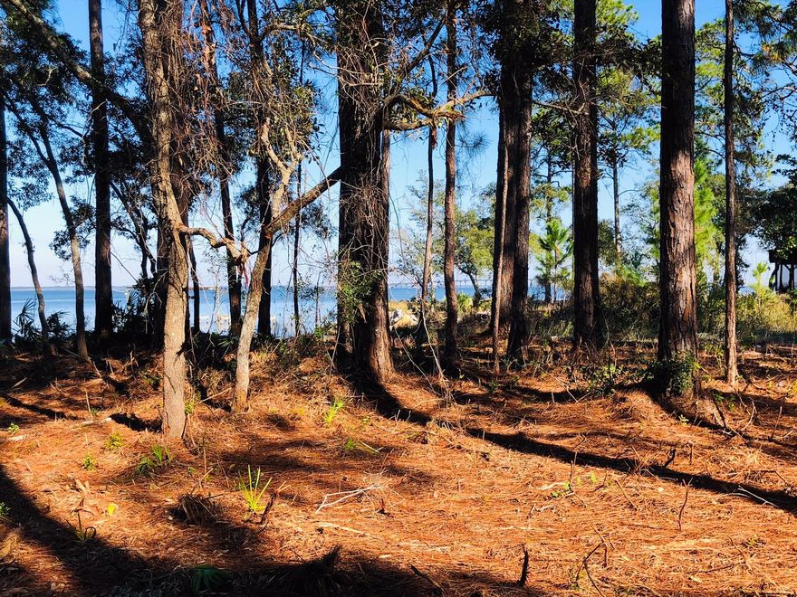 Beautiful home site on Choctawhatchee Bay! Awaiting owners with a dream of living a waterfront lifestyle. Located on a Cul de Sac this .67 acres provides privacy and a quiet surrounding with 90' of waterfront. Nature Abounds with indigenous vegetation, birds, dolphins and wildlife. Boundary/Topographical Survey, Geotech Report, Site Plan all completed and available for serious buyers that are looking for their Waterfront Dream Property. Public Water and Sewer available.