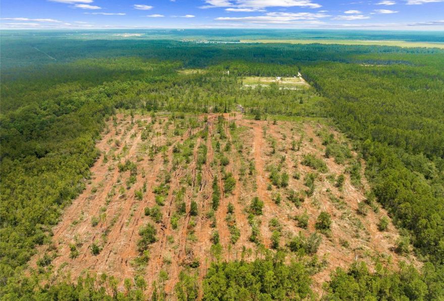 This 81 acre parcel can stay with the County or Annex South portion of the acreage into City of Freeport with Estate Residential or R-2 zoning. Large buildable parcel east of the newly approved New Town Center, Medical Offices and Commercial/Restaurants, this 81-acre parcel offers unparalleled potential. Just north of Highway 20 and east of 331, the property is ideally located for developers and visionary buyers alike. With a significant portion of the land already cleared (approx. 25 of the 81 acres) and utilities such as a well and electric on-site, this expansive plot is primed for transformation. A serene pond graces the edge of the land, enhancing its natural beauty. Perfect opportunity to be part of a beautiful new community in a strategic location with so much potential.