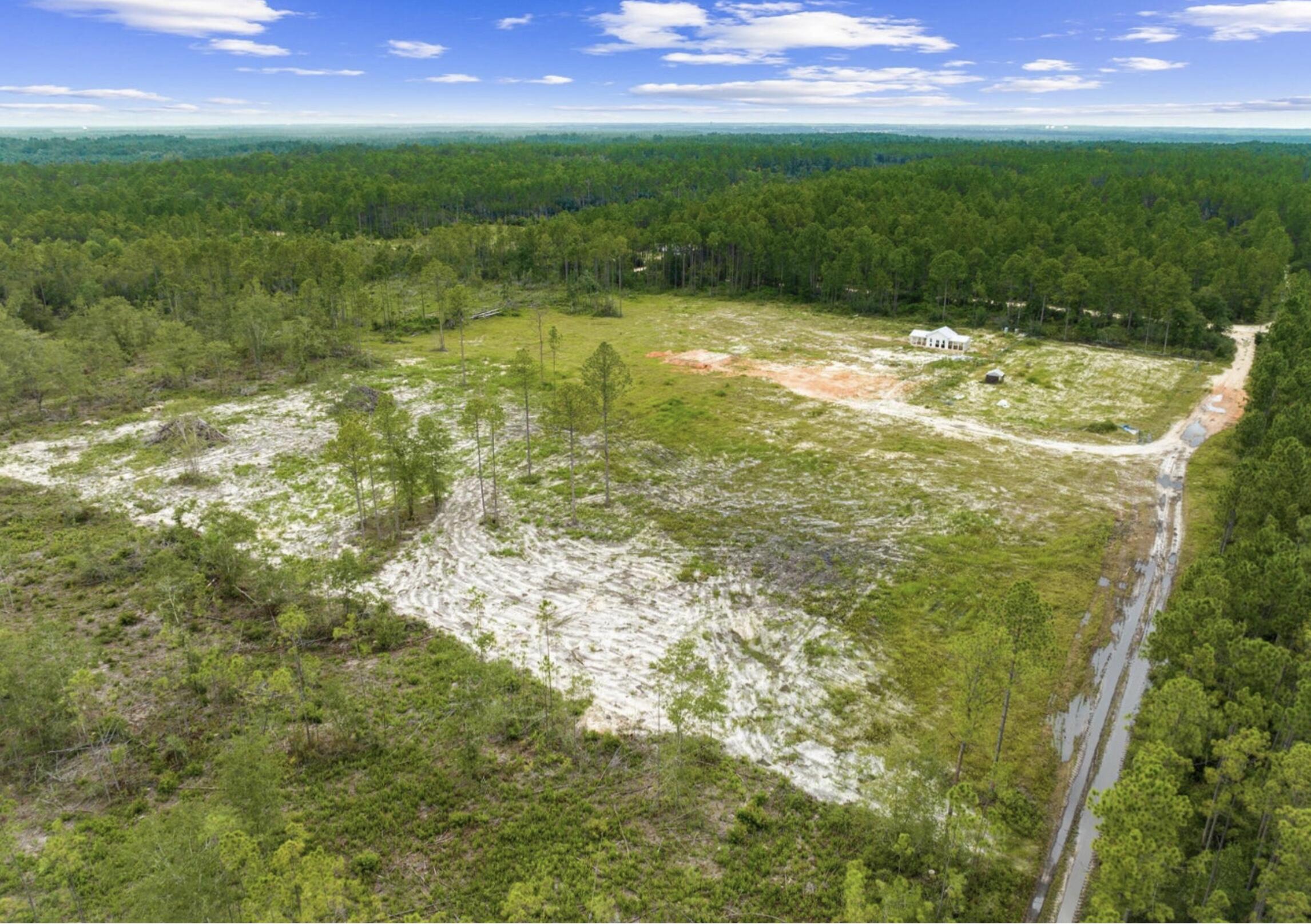 81 acres fronting Joe Dugger Rd - Farm