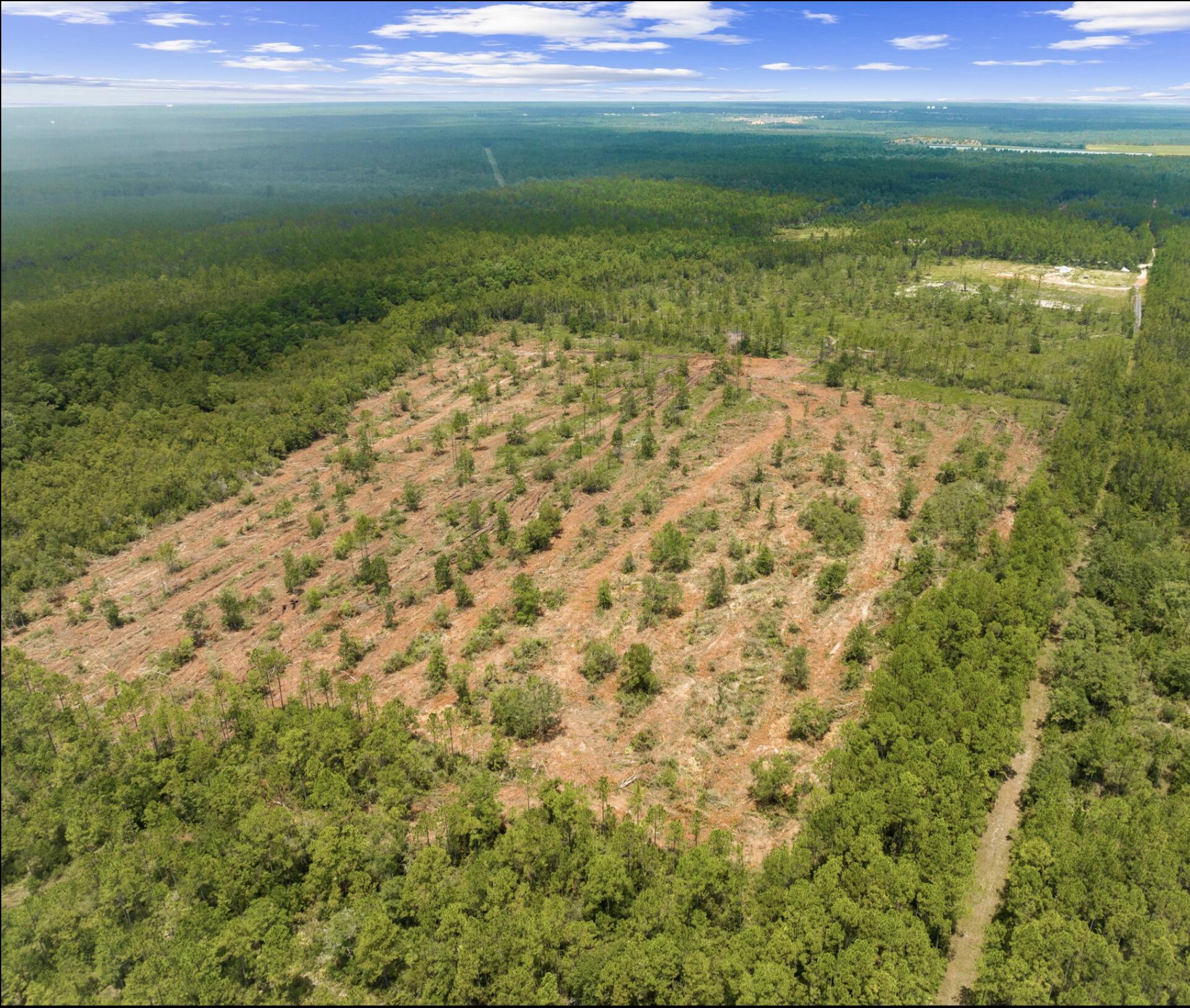 81 acres fronting Joe Dugger Rd - Farm
