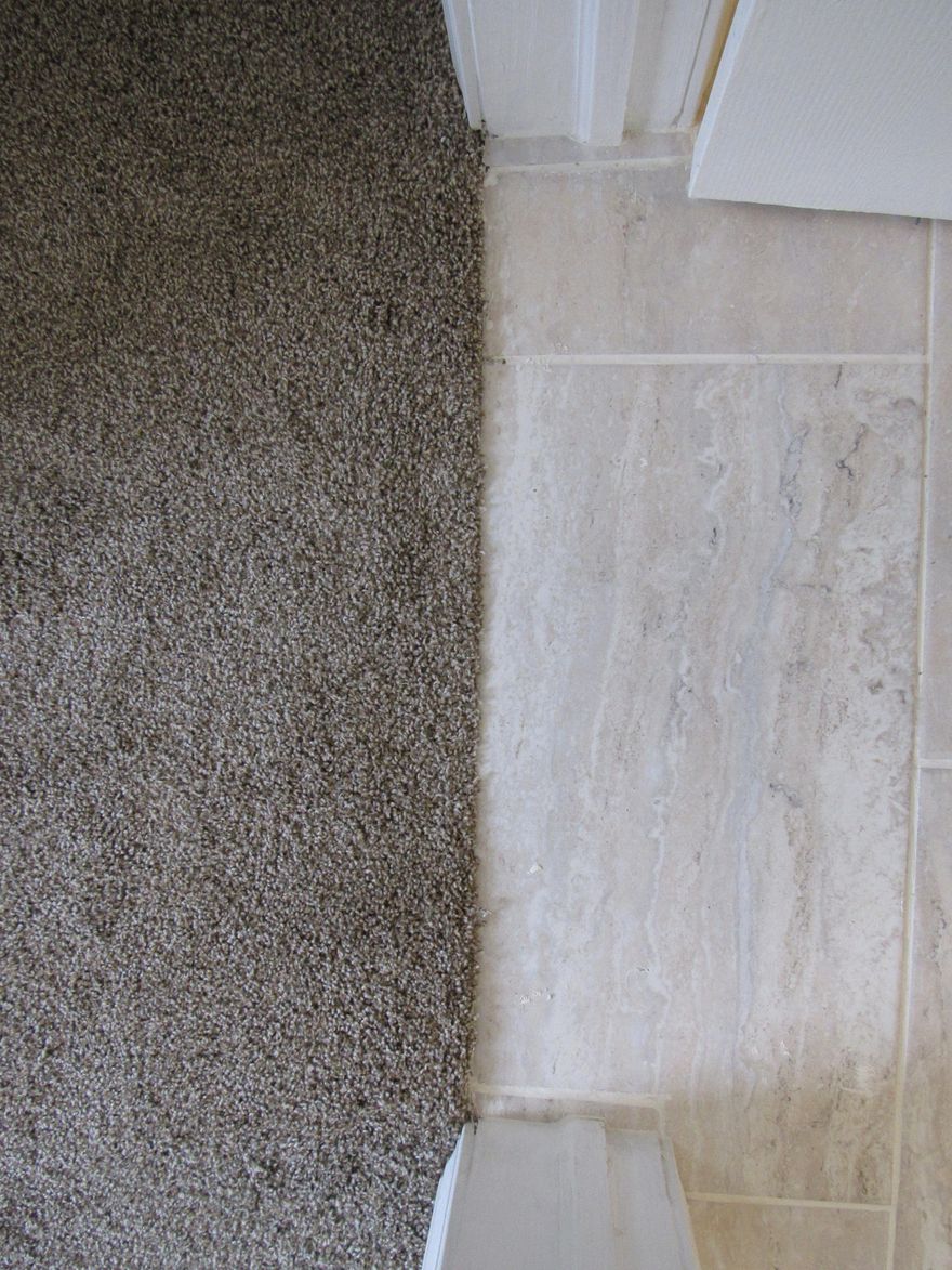 Renovated Florida Cottage! This block home has been updated with new kitchen and a new master bathroom with walk in closet. The home has been updated with new sheetrock and a few windows were replaced. A new driveway and sidewalks have been added as well. This is an over sized yard and has a shop in the back.