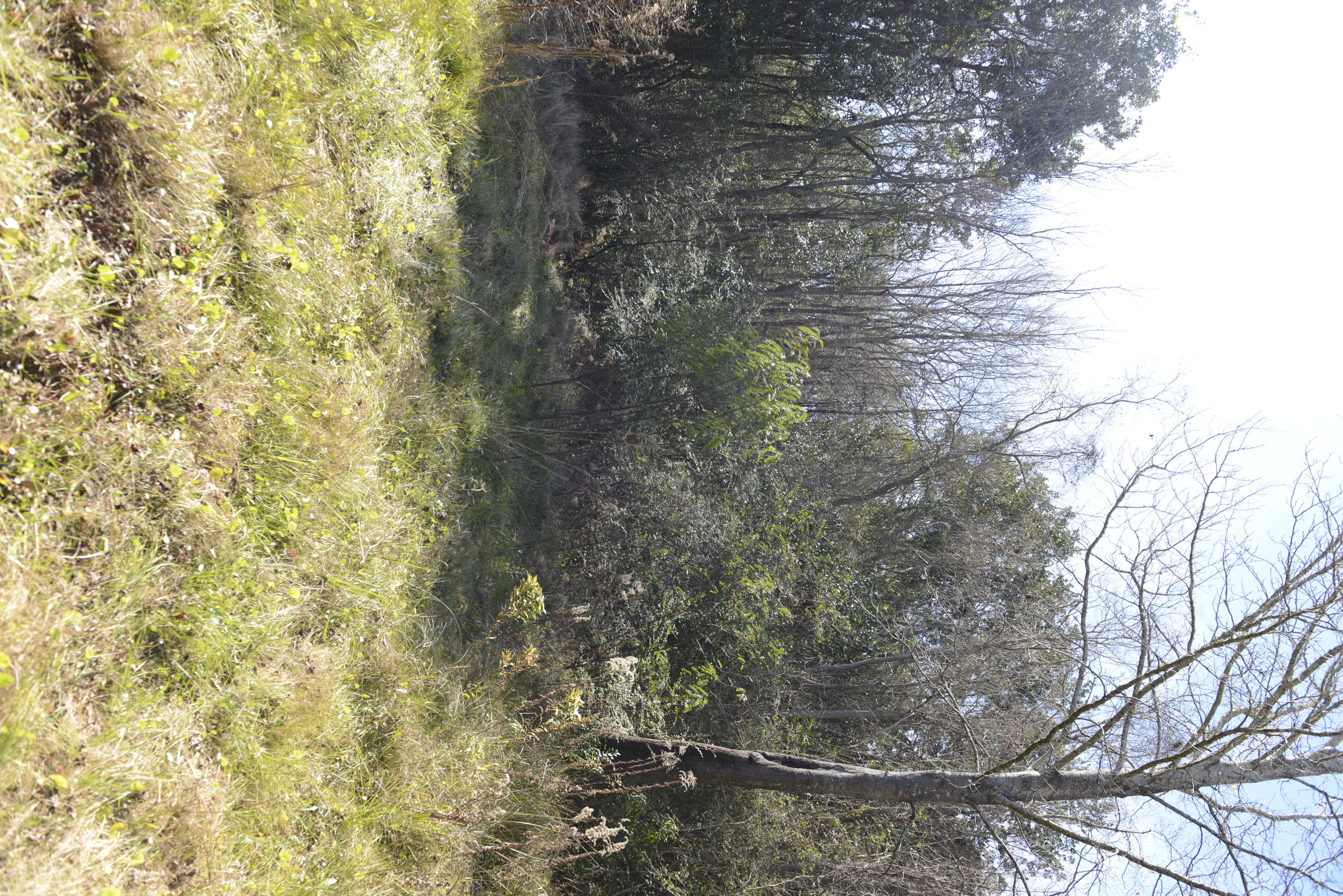 FLORIDA HEIGHTS - Land