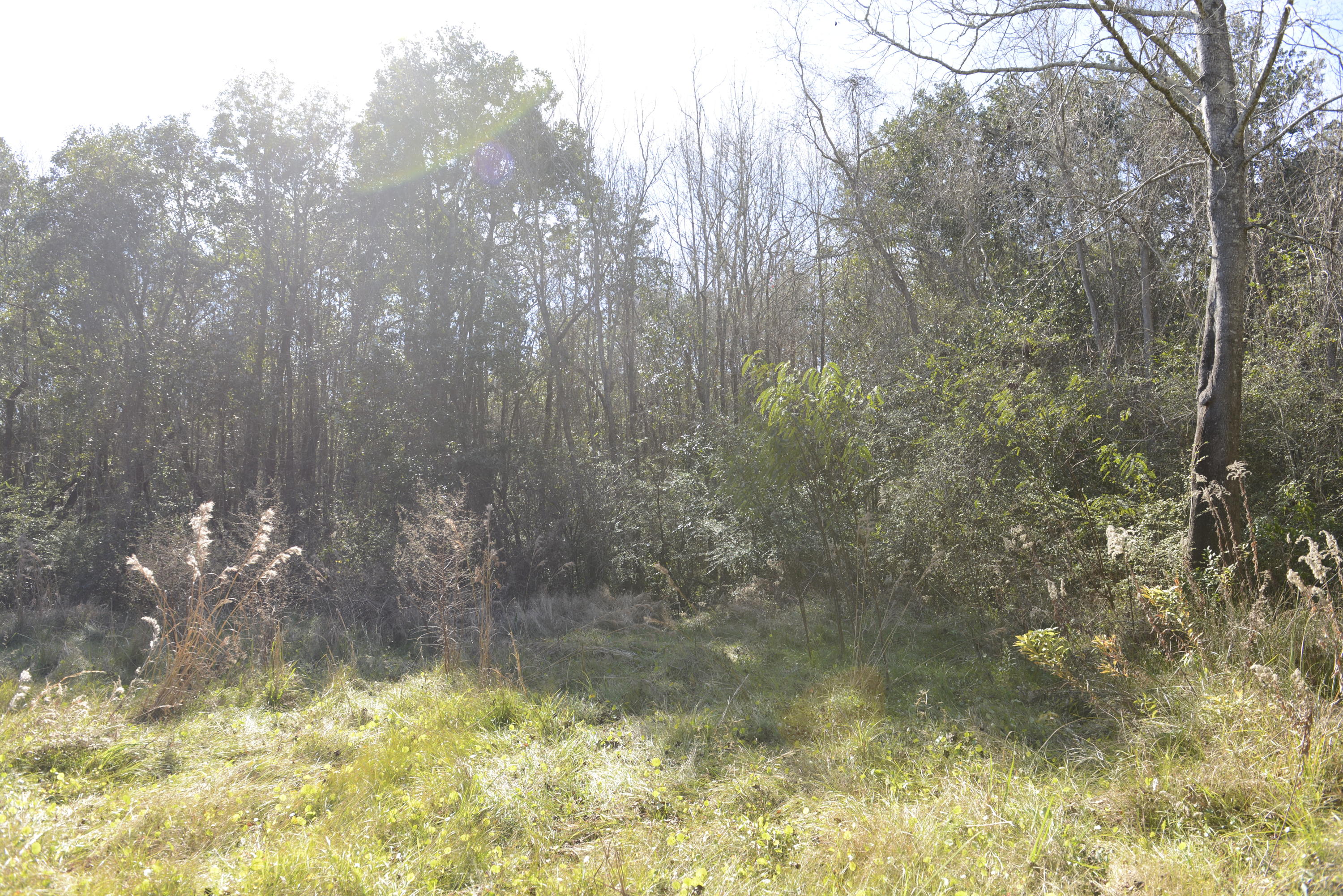 FLORIDA HEIGHTS - Land