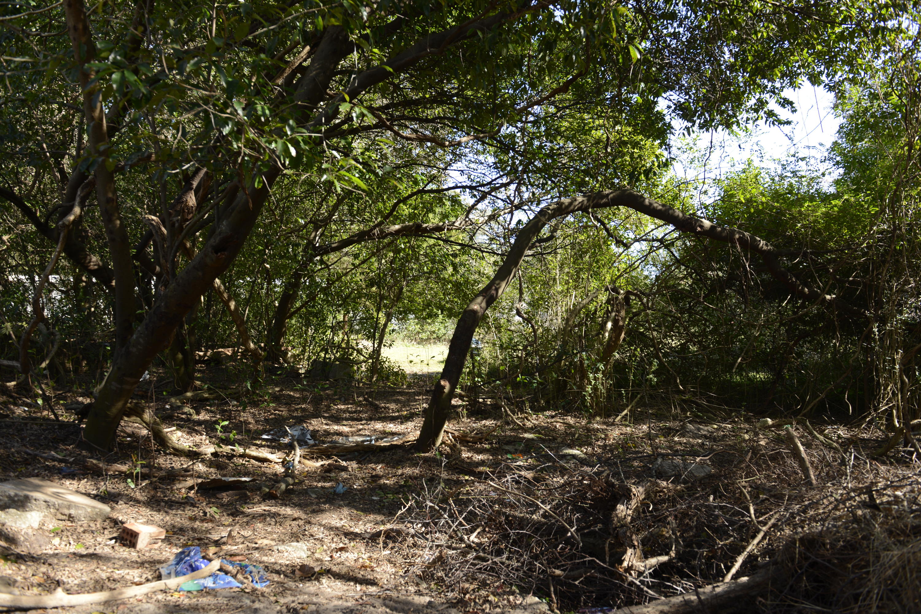 FLORIDA HEIGHTS - Land