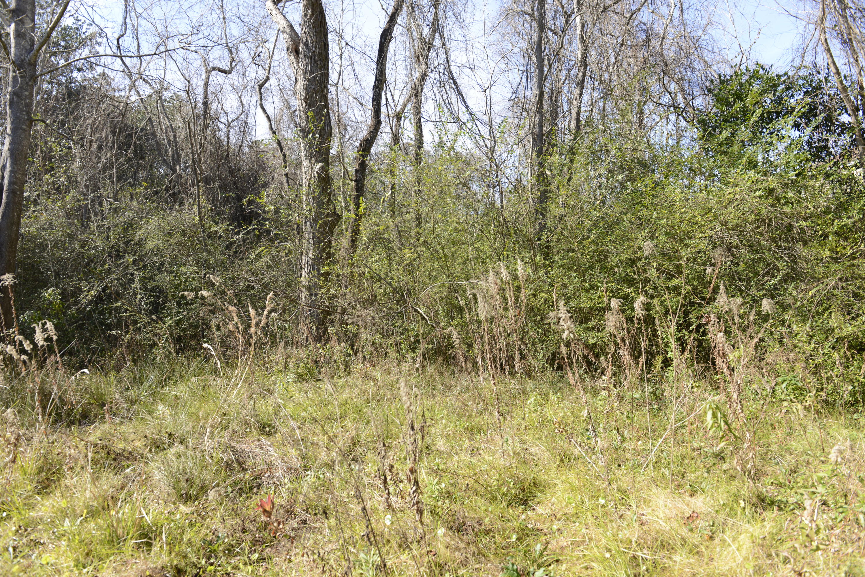 FLORIDA HEIGHTS - Land