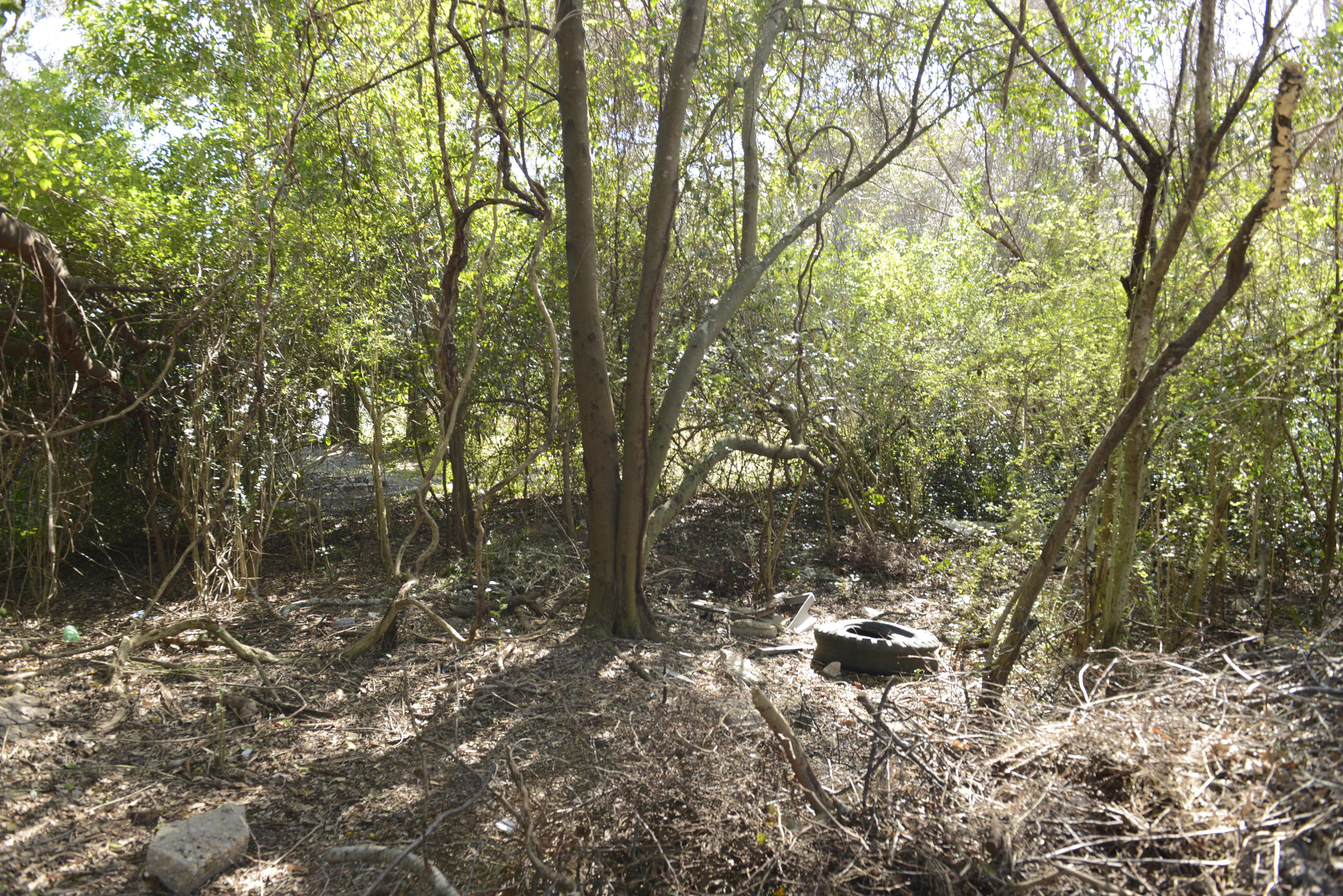 FLORIDA HEIGHTS - Land