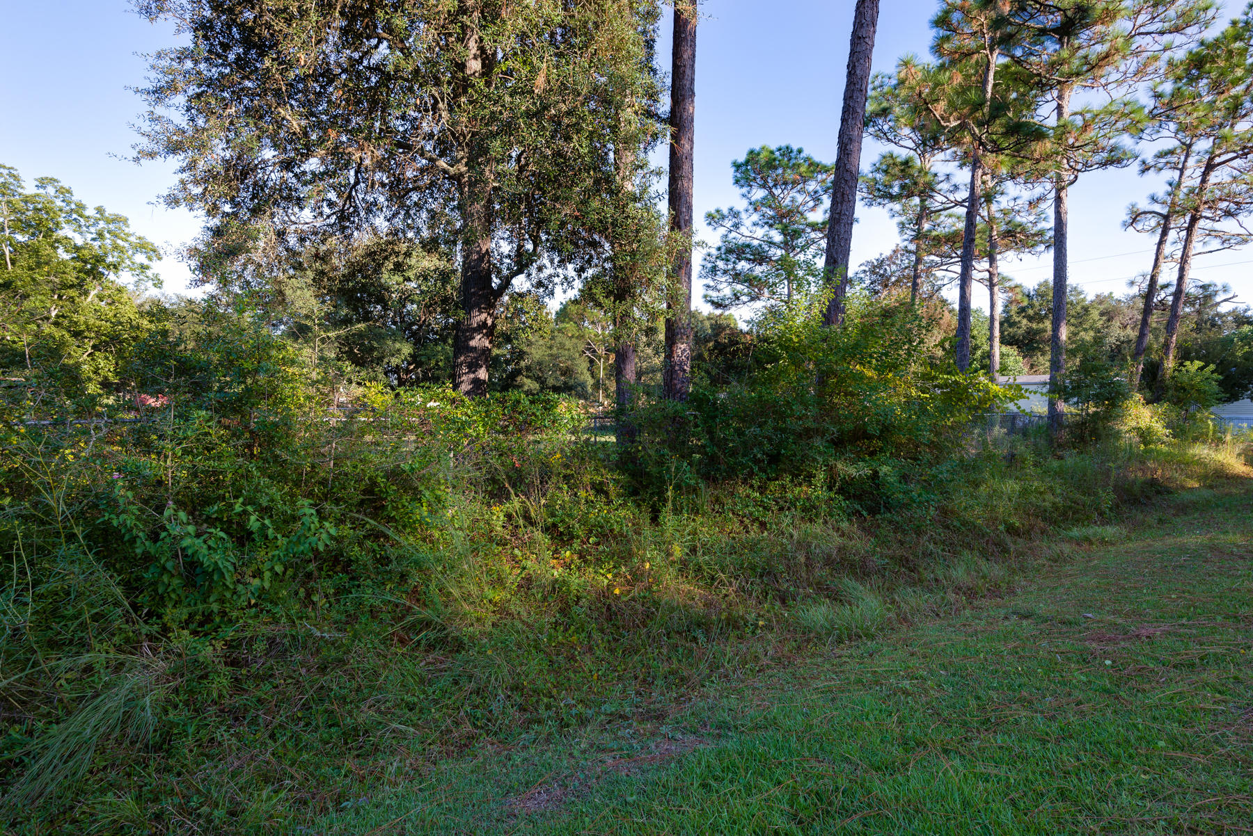 Highway 20; east of Niceville - Land