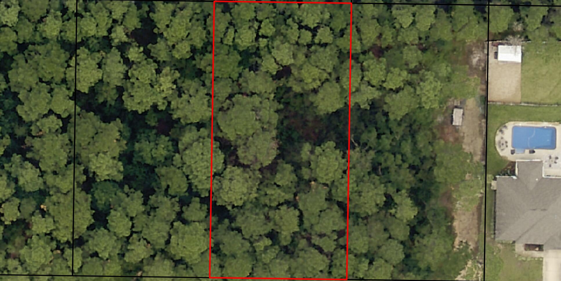 Beautiful wooded land within driving range to beaches. Great to build your dream home here and enjoy the joys of tropics. Land does not have any improvements and but improvements are available at the street.