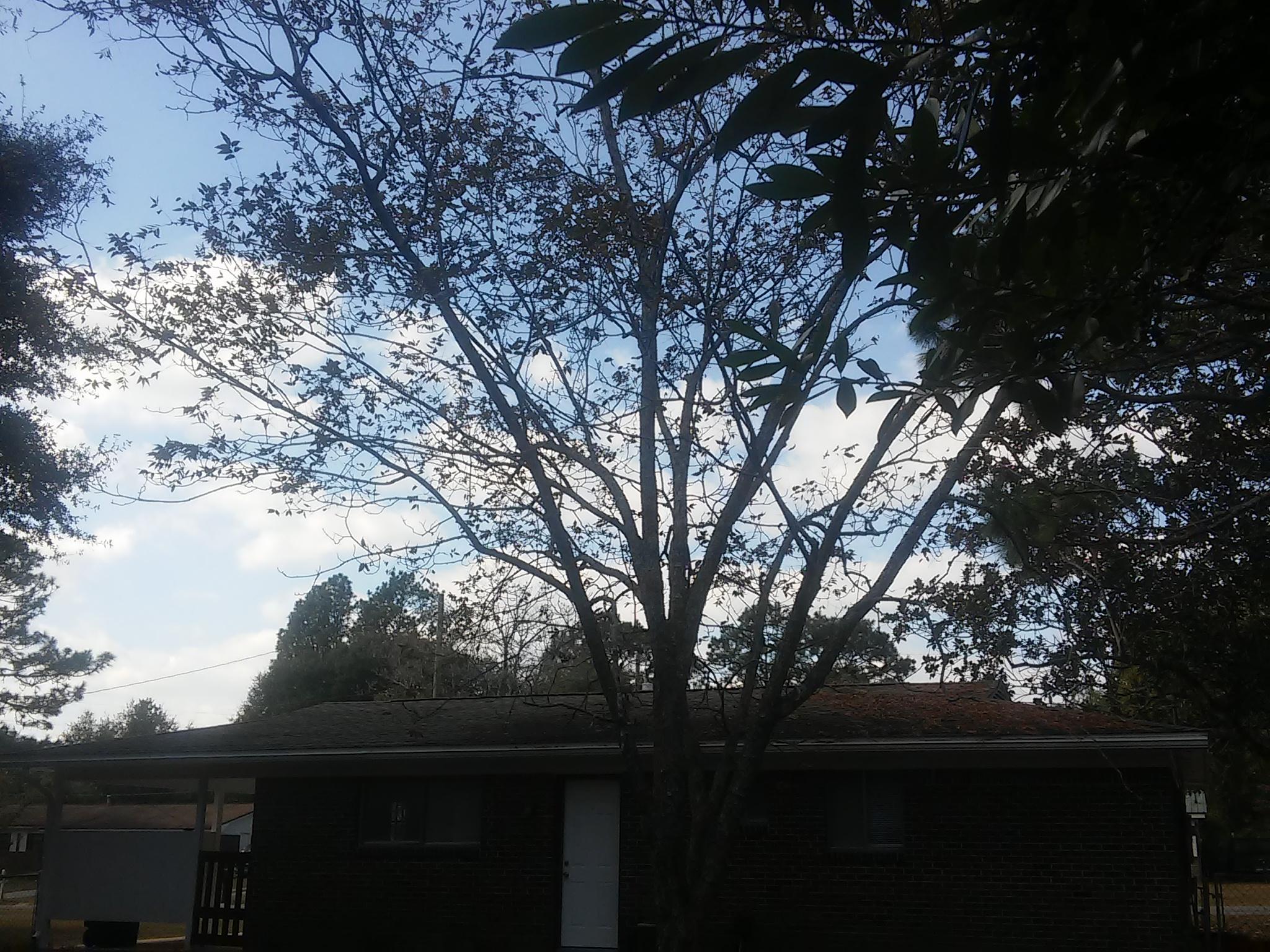 LAKEWOOD S/D - Residential