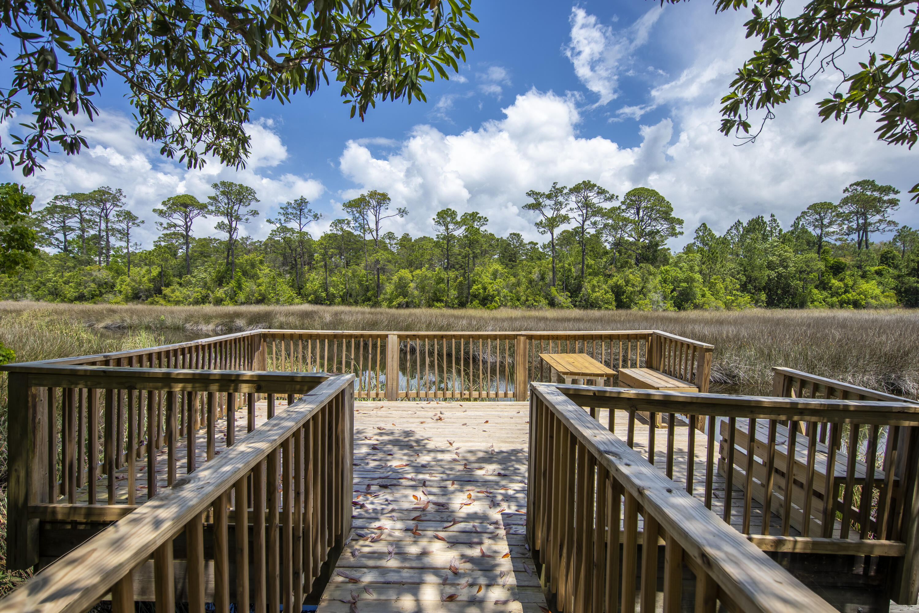 THE PRESERVE AT INLET BEACH - Residential