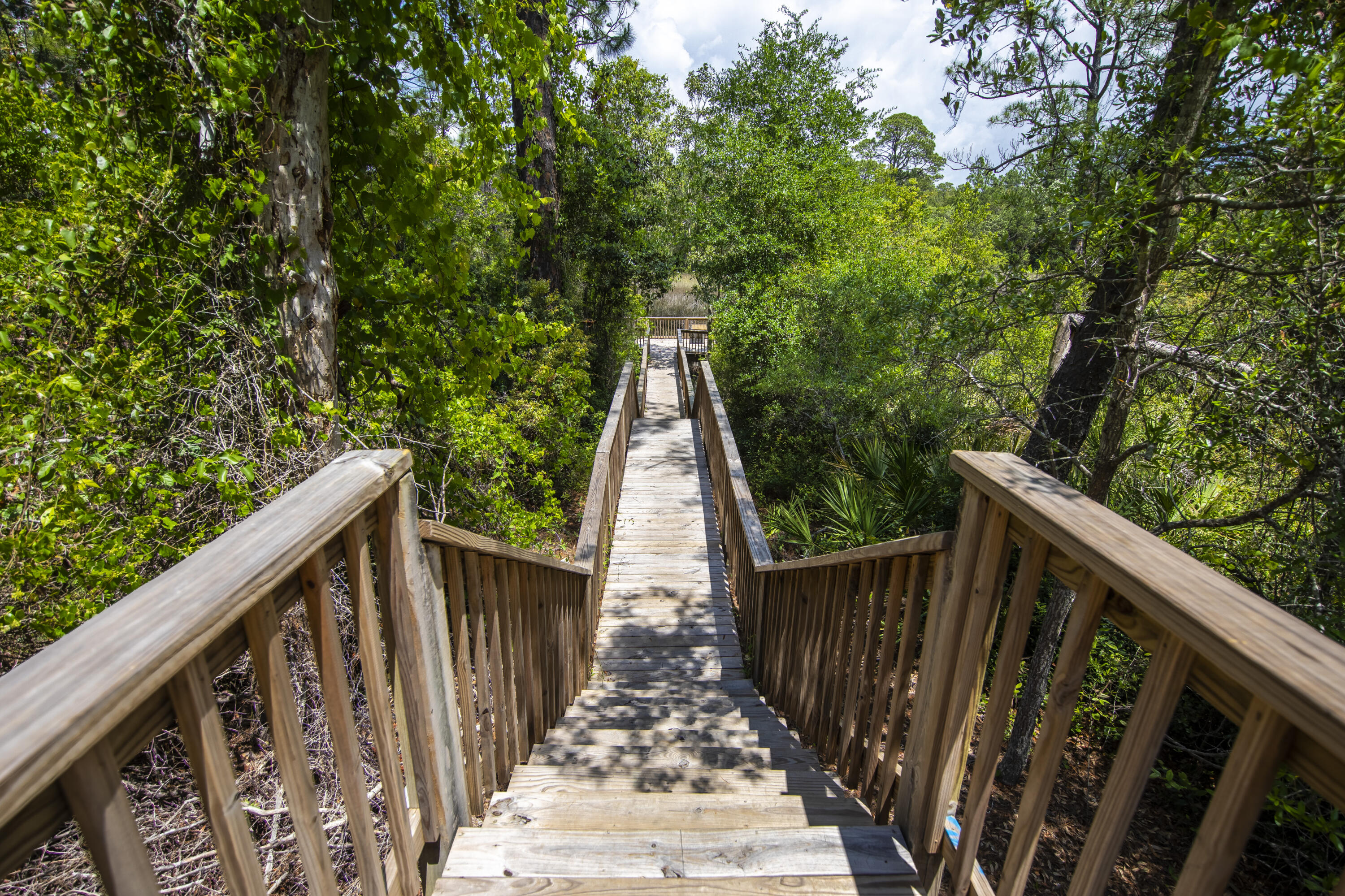 THE PRESERVE AT INLET BEACH - Residential