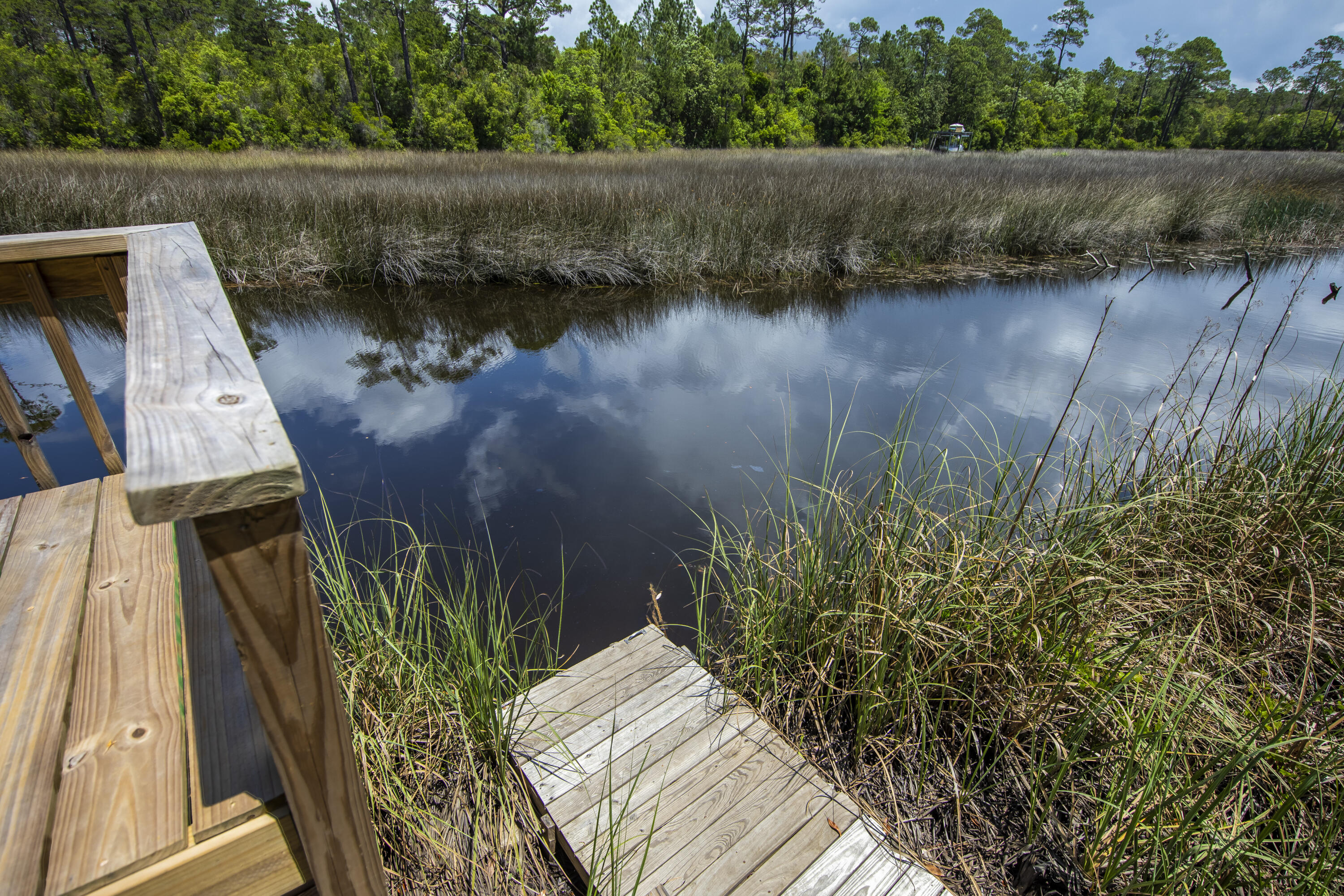 THE PRESERVE AT INLET BEACH - Residential