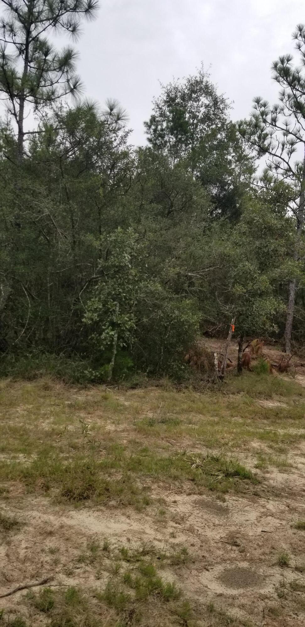 Beautiful wooded property just waiting for you to build on. Close to the interstate and the beautiful beaches. Wet land Delineation already completed so that will save you time and money. Seller also has a permit in place for clearing the property