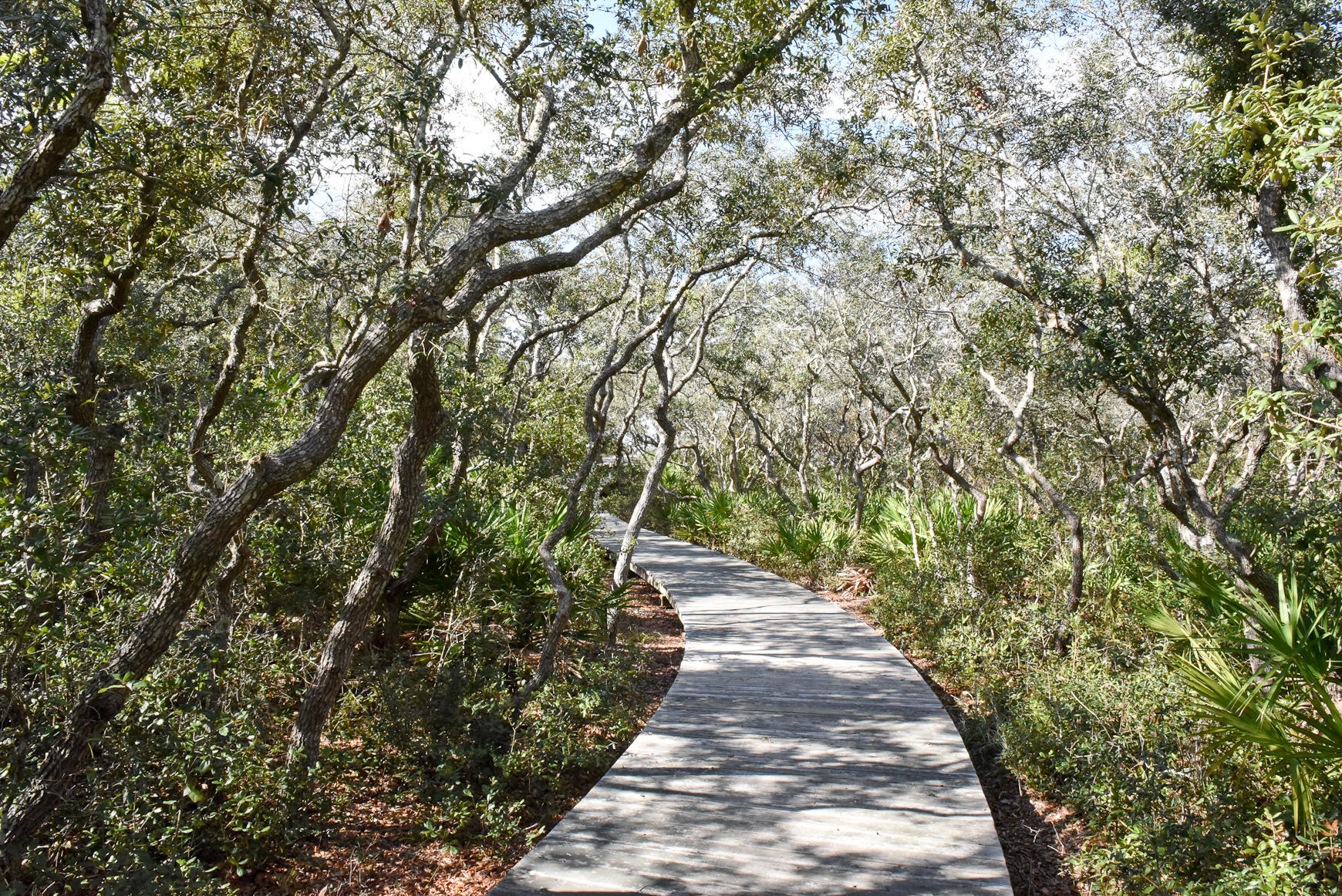 WATERSOUND BEACH, THE CROSSINGS - Residential