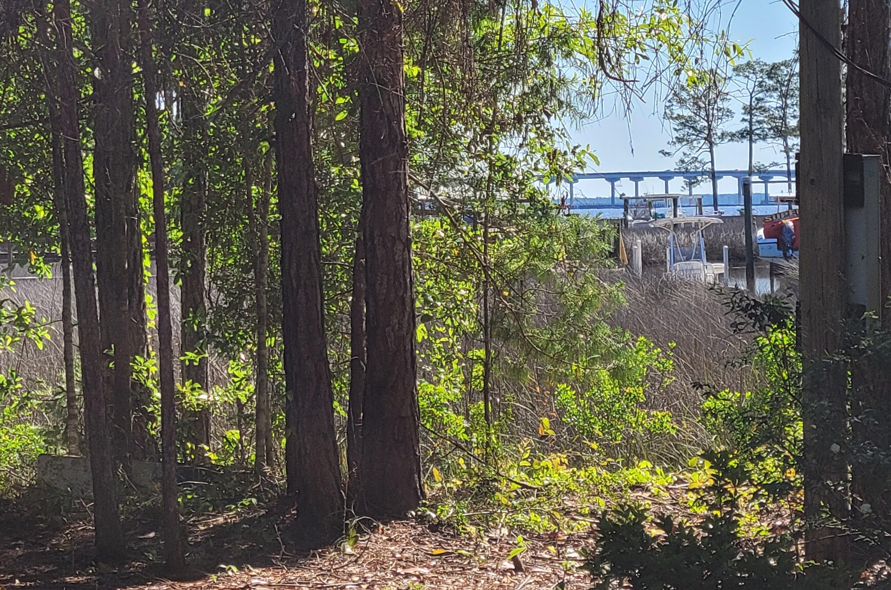 Bay Pine Shores - Land