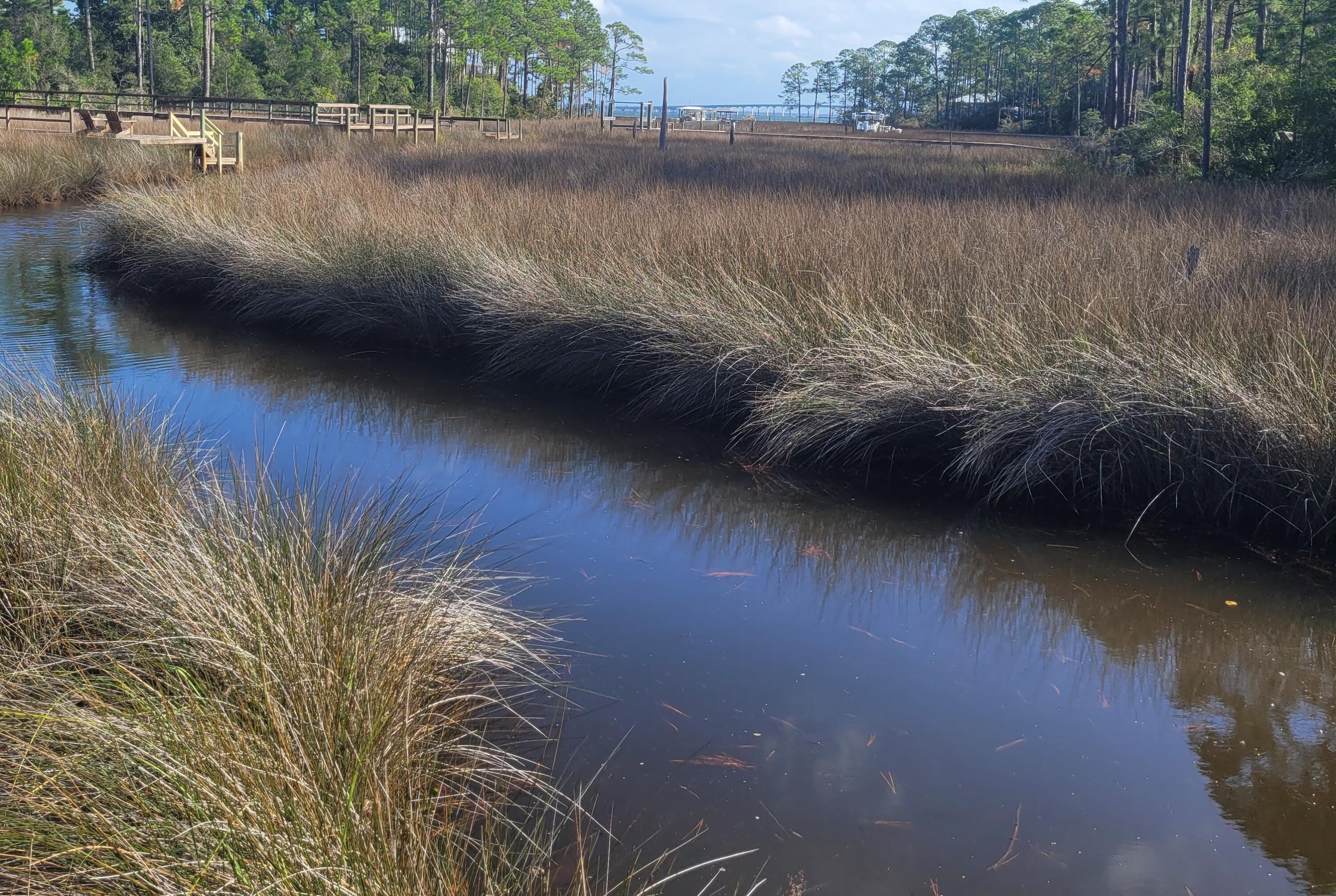 Bay Pine Shores - Land