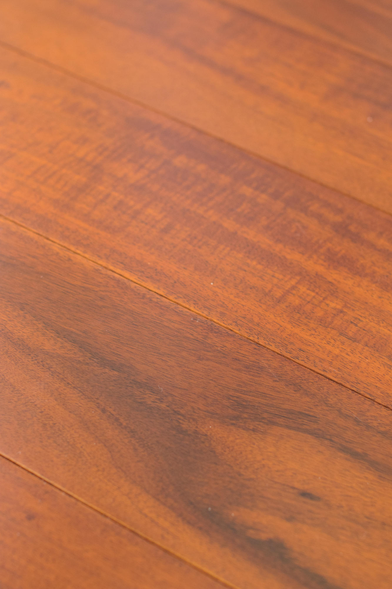 DANA POINTE - Residential