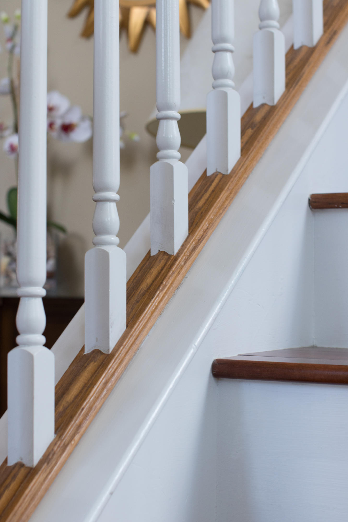 DANA POINTE - Residential