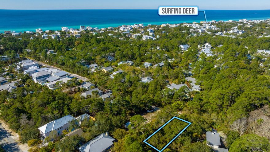 Great potential investment opportunity! Unimproved lots in Seagrove will soon be a thing of the past. This vacant lot is ready for a dream home or rental investment! Located in tranquil old Seagrove. Walking distance to some of the best 30A has to offer. No HOA! Entire lot is high and dry in flood zone X.