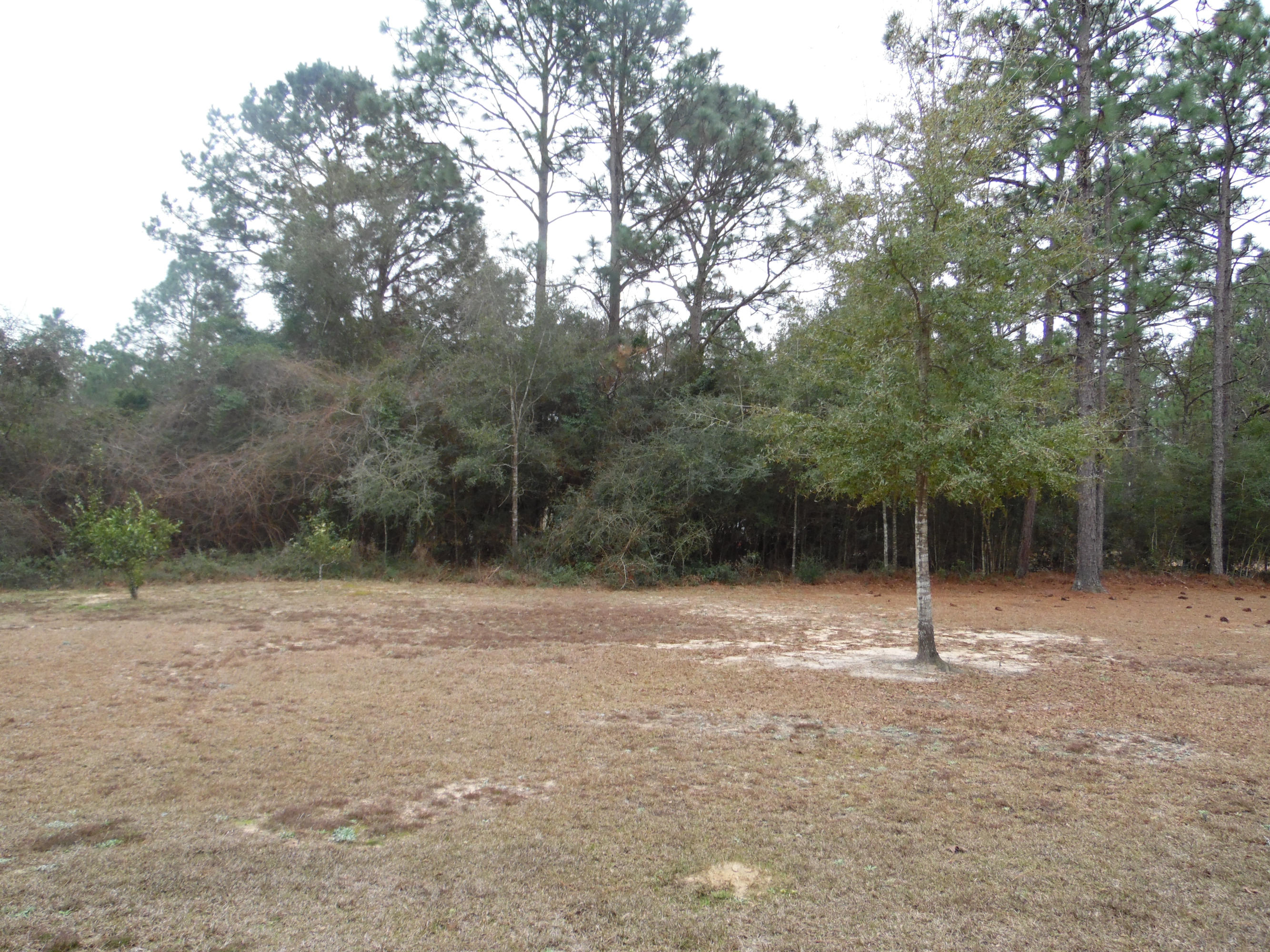 No Recorded Subdivision. - Residential