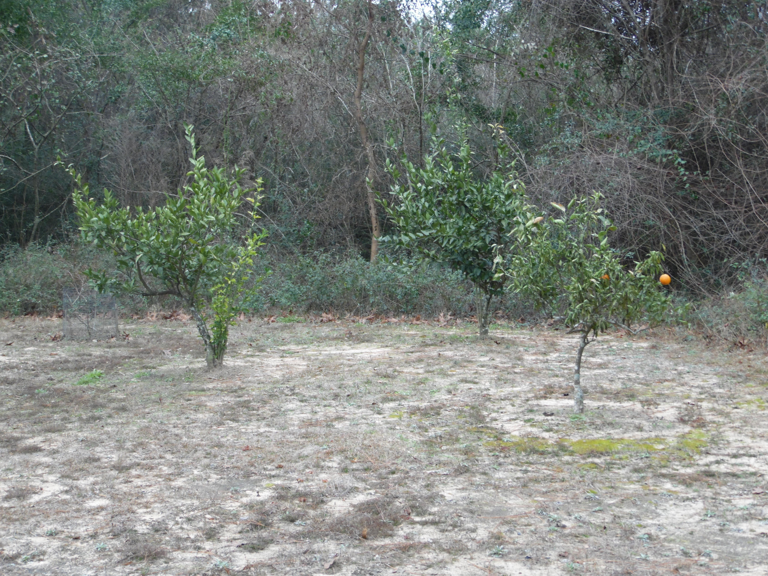 No Recorded Subdivision. - Residential