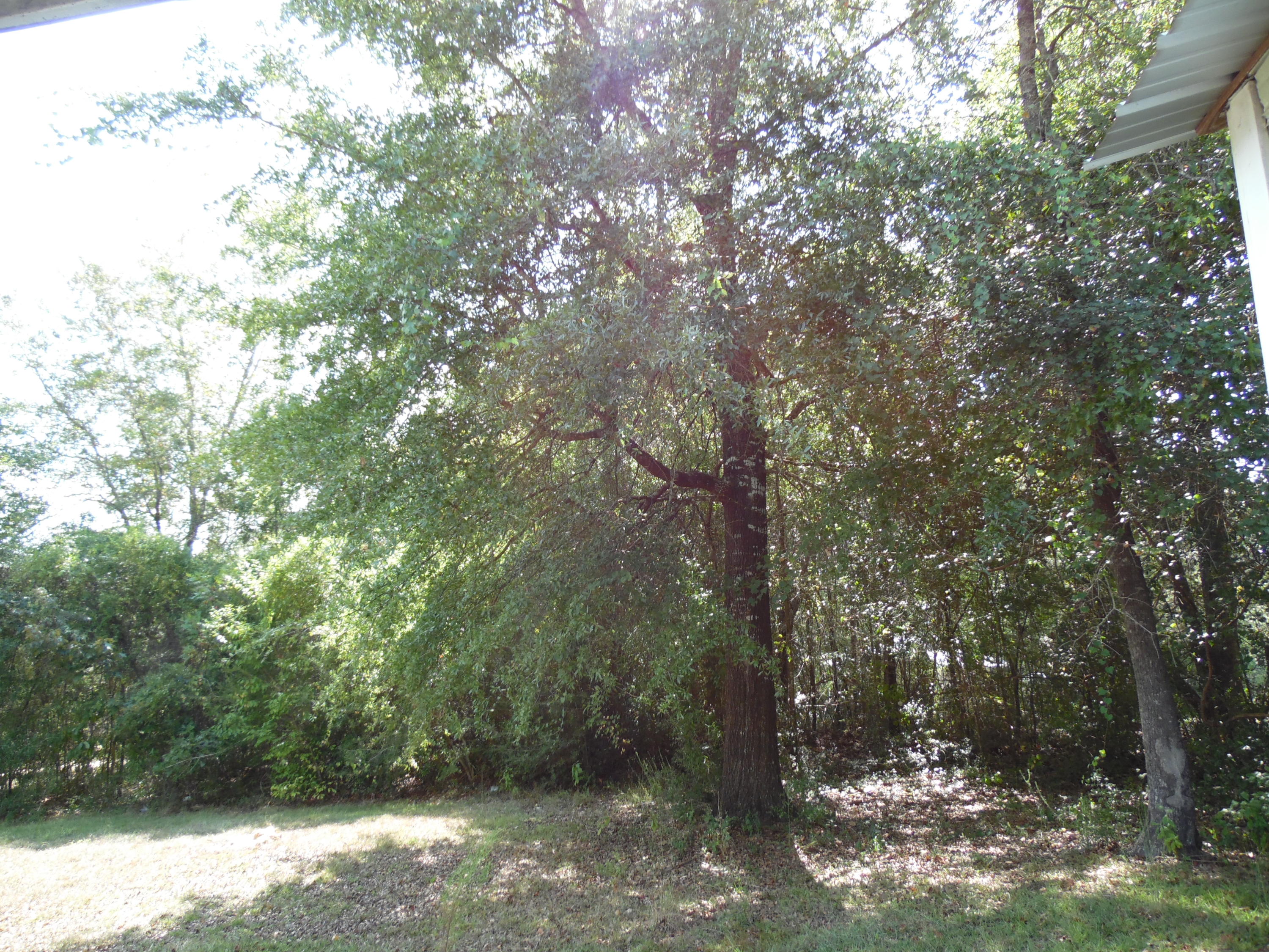 Holley Family Property Ph II - Residential