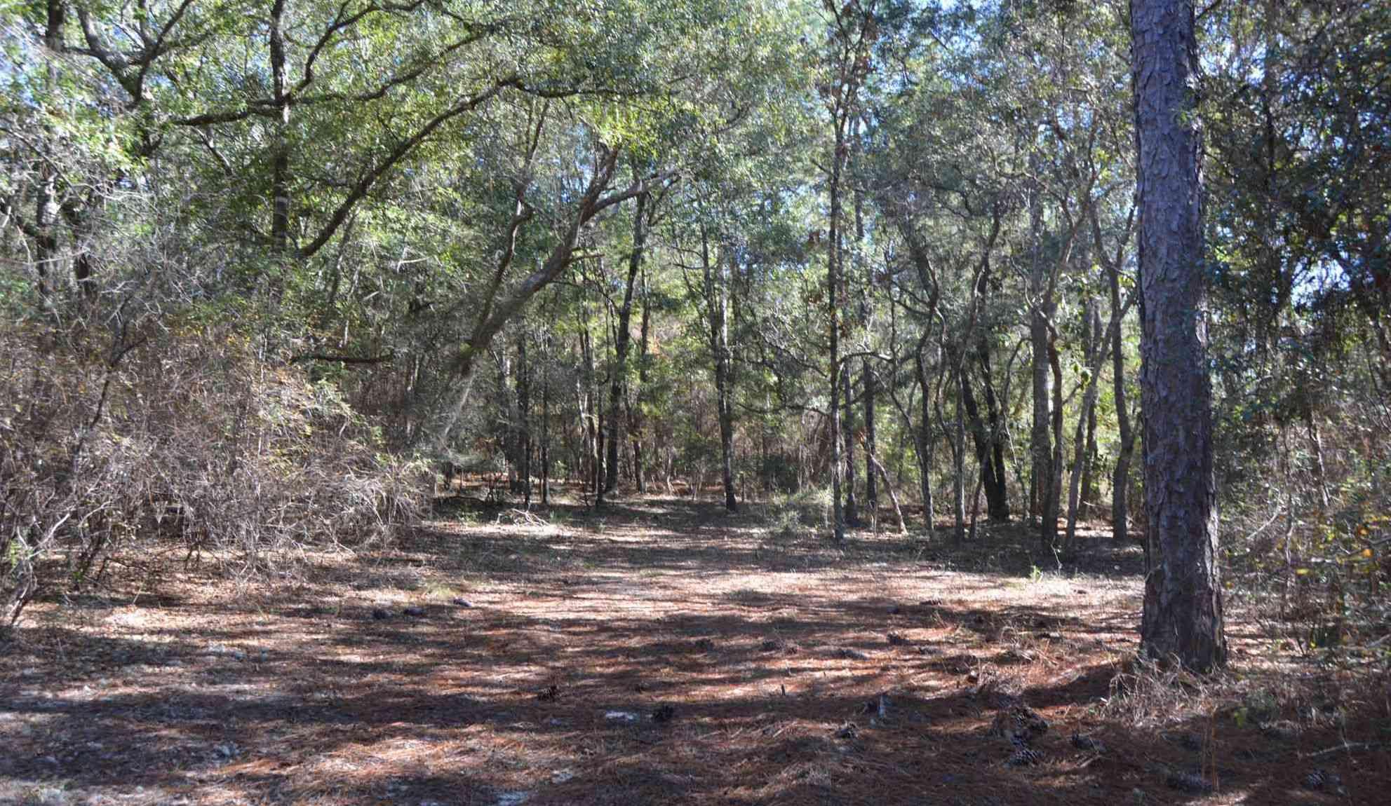 INDIAN SPRINGS - Residential