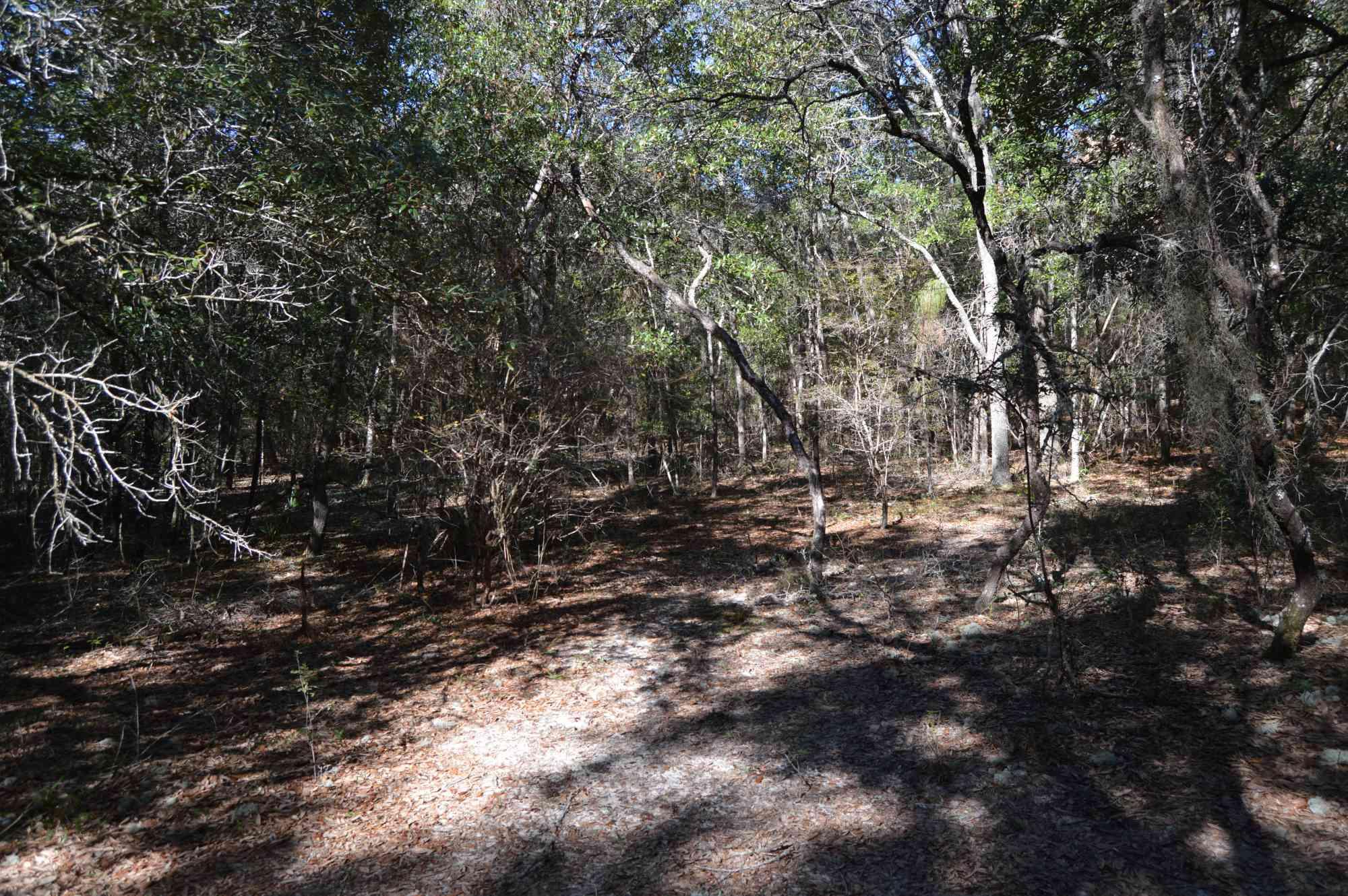 INDIAN SPRINGS - Residential