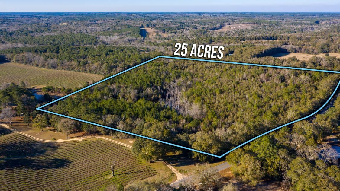 LOOKING FOR A GREAT PLACE TO CALL HOME? THIS PROPERTY HAS TONS TO OFFER! OVERLOOKING THE WINERY VINEYARDS THERE ARE TONS OF PLACES TO BUILD WITH AMAZING VIEWS. PROPERTY HAS A SHARED LAKE WITH OVER 200 FEET ON WATER AS WELL AS CYPRESS POND PERFECT FOR HUNTING AND WILDLIFE. PROPERTY IS WOODED AND ALLOWS YOU THE ABILITY TO KEEP IT AS PRIVATE AS YOU WISH. PAVED ROAD FRONTAGE JUST NORTH OF TOWN.
