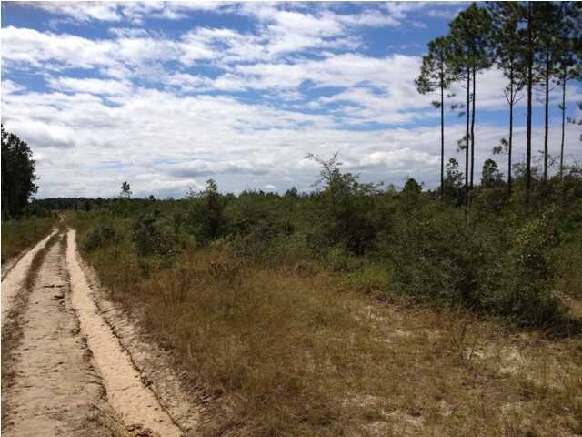 BANK OWNED!! This listing is for 30 acres in Freeport. It is actually 3 separate 10 acre parcels, but the bank would like to sell them all together. This would make a great investment for the future as land prices are way down right now! Call today and offer today! Buyer to perform own due diligence and verify any important information.