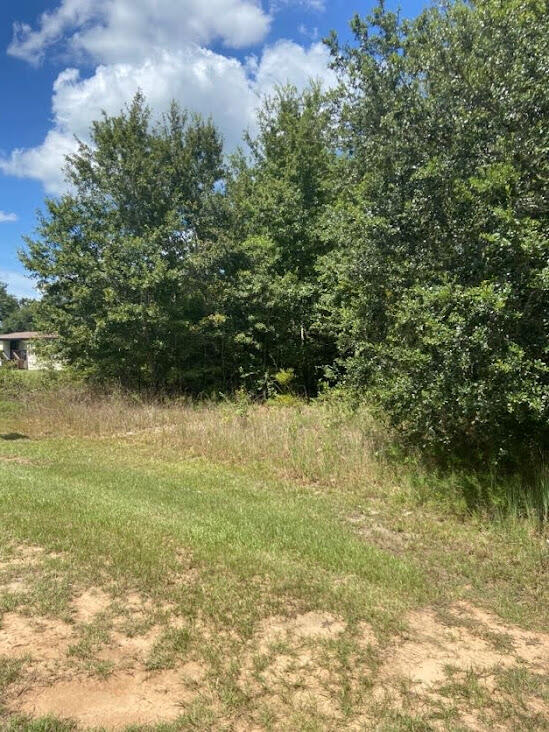 CONDOR ESTATES - Land