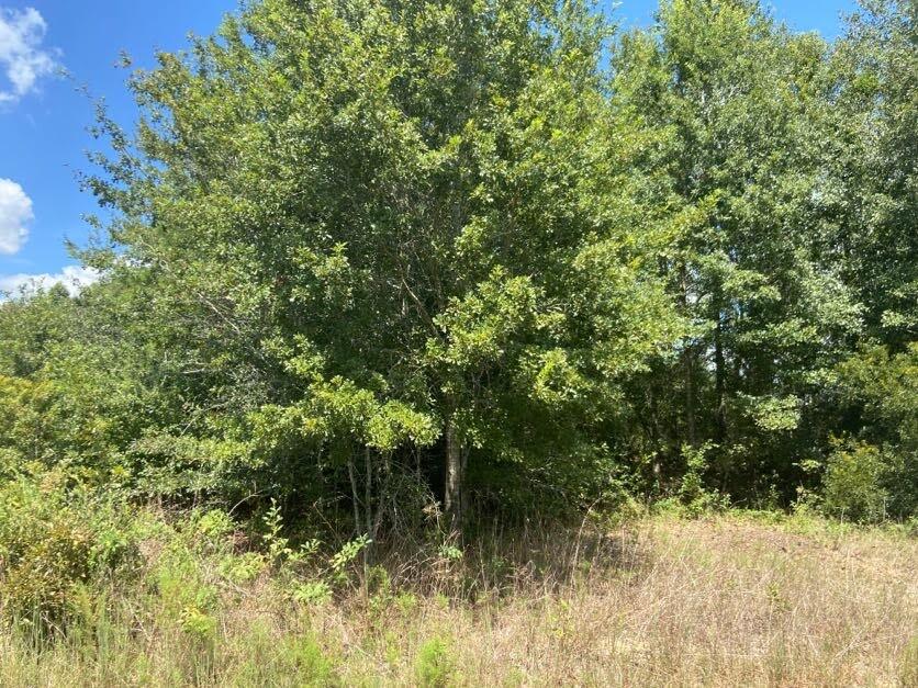 CONDOR ESTATES - Land