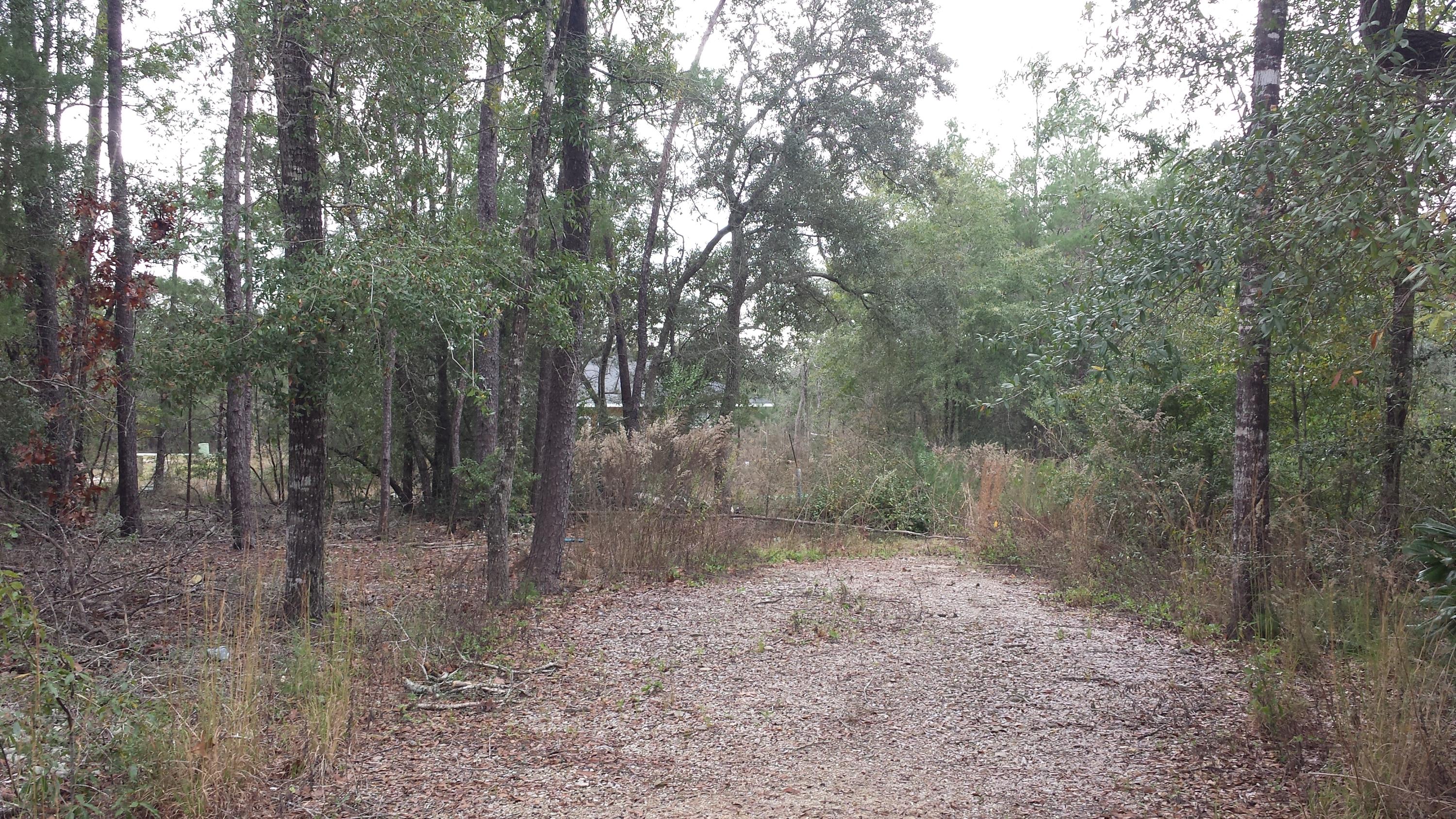 Magnolia Landing - Land