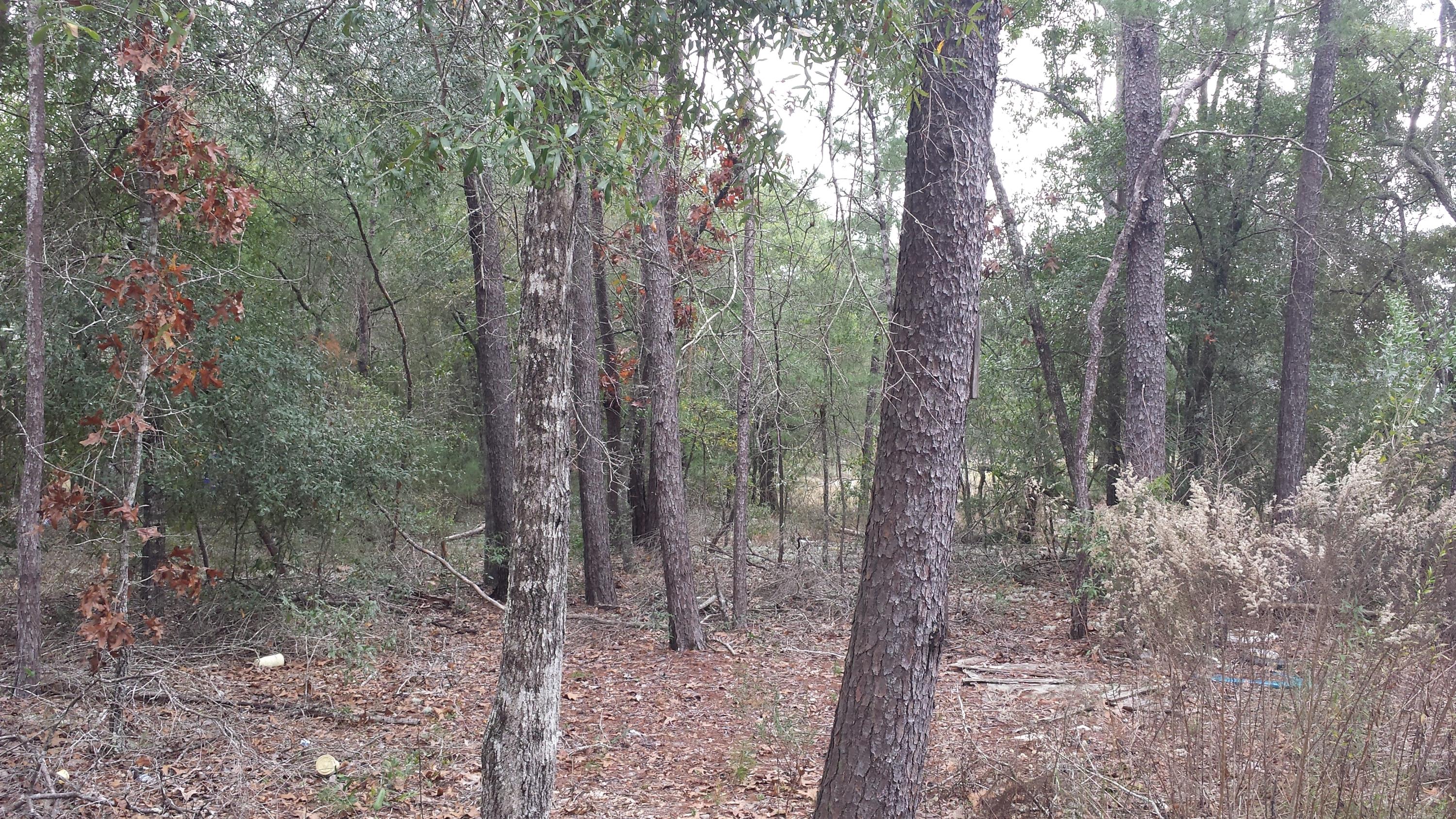 Magnolia Landing - Land