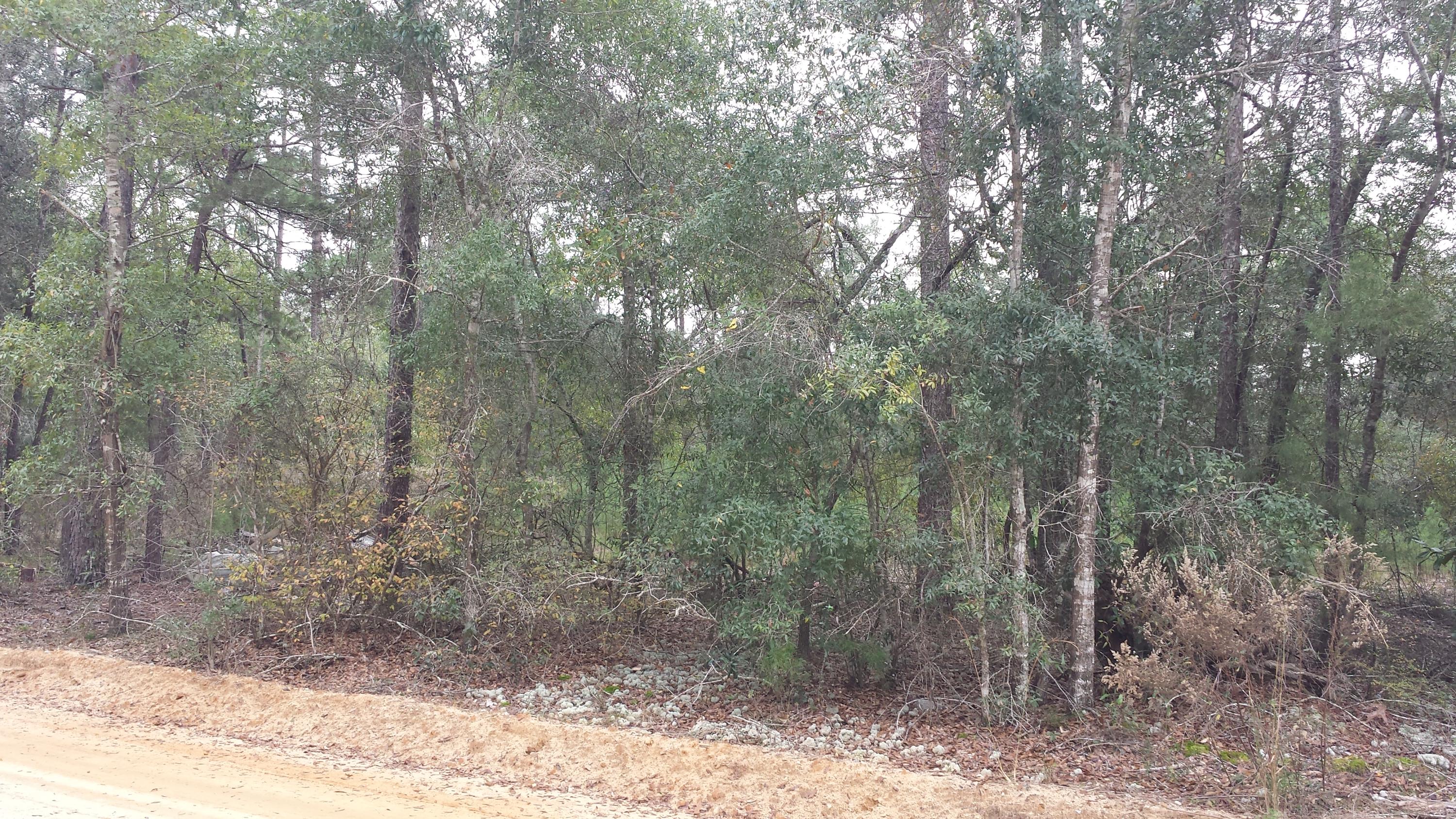 Magnolia Landing - Land