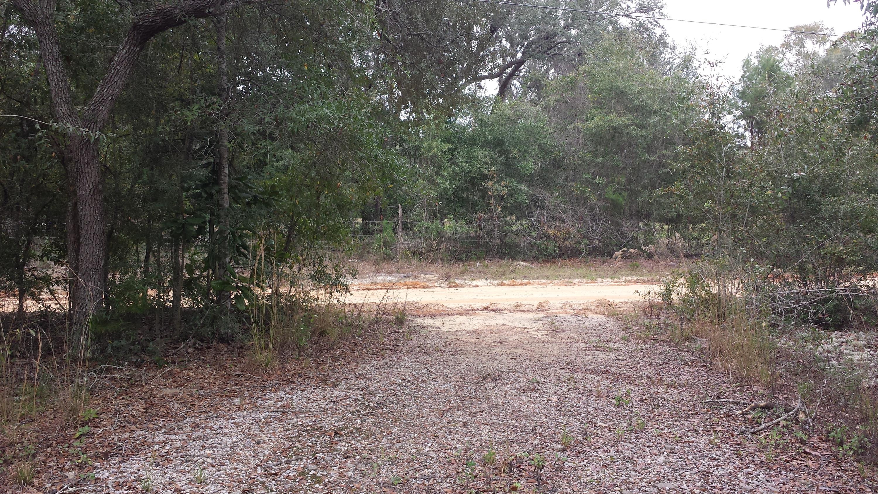 Magnolia Landing - Land