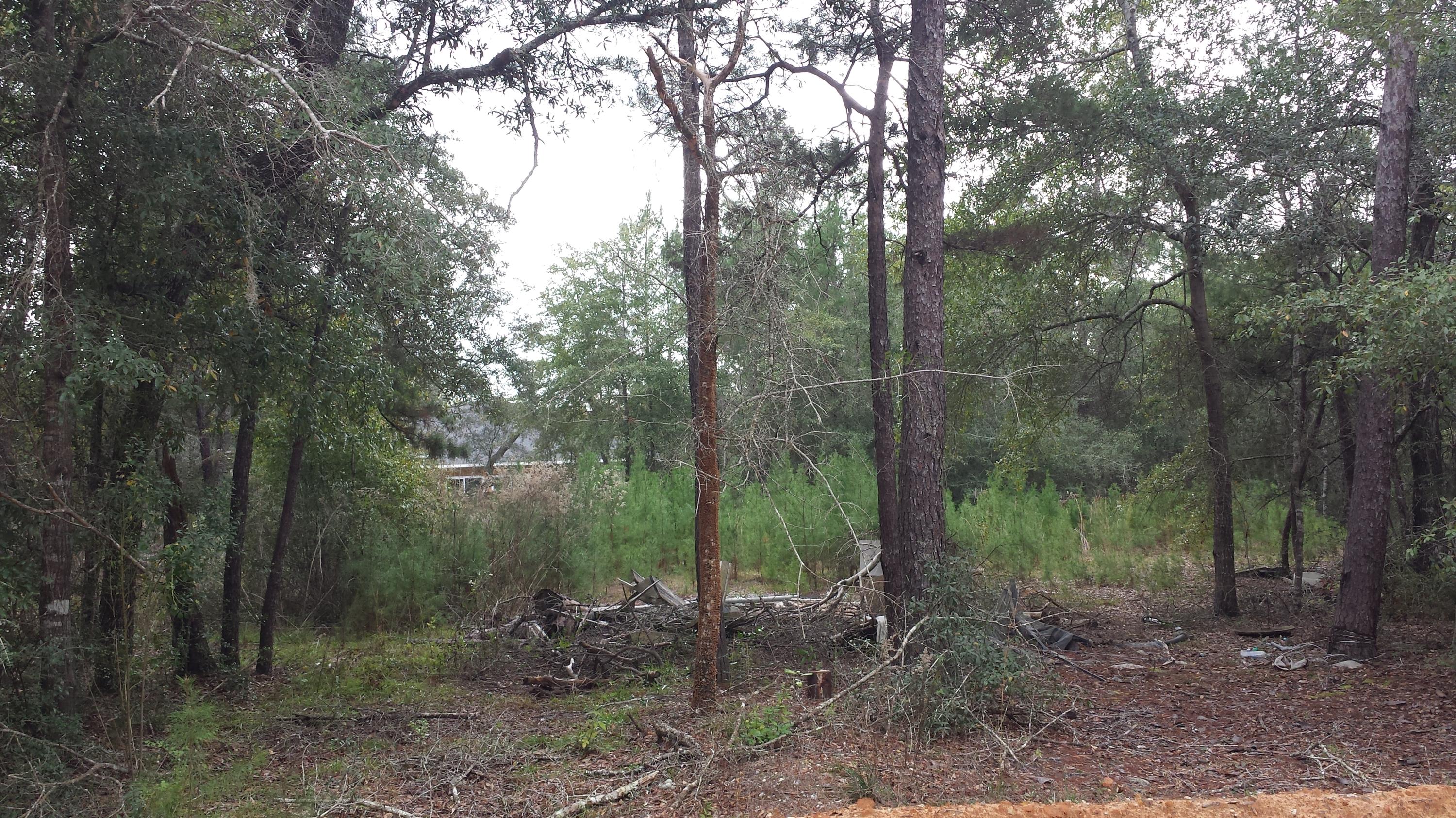 Magnolia Landing - Land