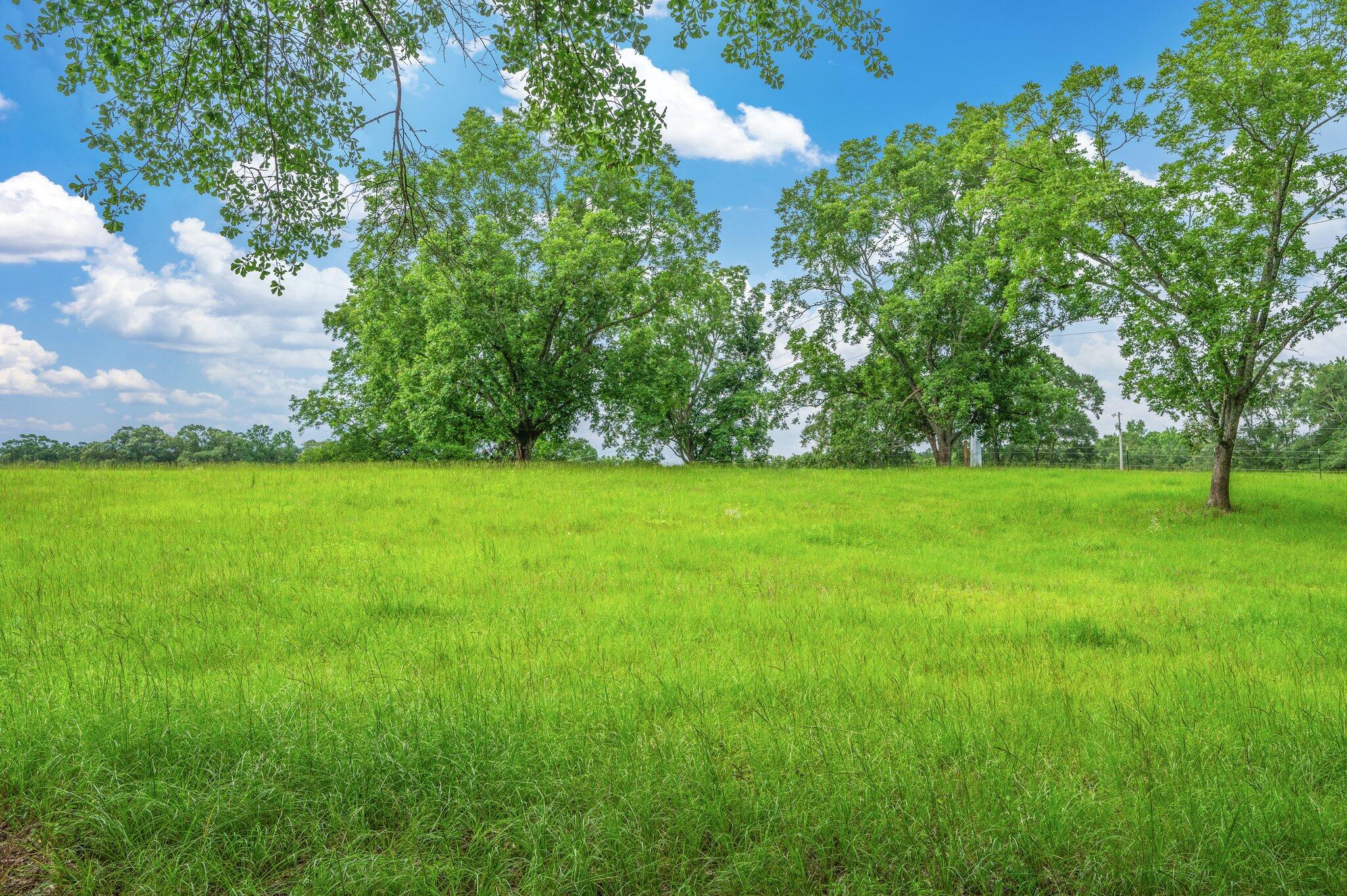 Discover your dream country living on this spectacular 53.86 acres, where natural beauty meets country convenience. This parcel features a serene pond, creating a picturesque setting for your future home. The property offers a blend of open pastures--already equipped with quality four-strand barb wire fencing--and includes wooded areas that provide privacy and hunting. Situated with valuable paved road frontage, this land grants you easy access to Highway 84, making trips to both Andalusia and Opp simple. Dreaming of a peaceful country retreat or a spacious family homestead, this versatile property provides the canvas for your vision. Build your dream home overlooking the water, raise animals in the ready pastures, or simply enjoy the peace of country living with town convivence. peaceful natural surroundings. This parcel offers the perfect balance of accessibility and countryside charm for those seeking to establish roots in Alabama's beautiful rural landscape.