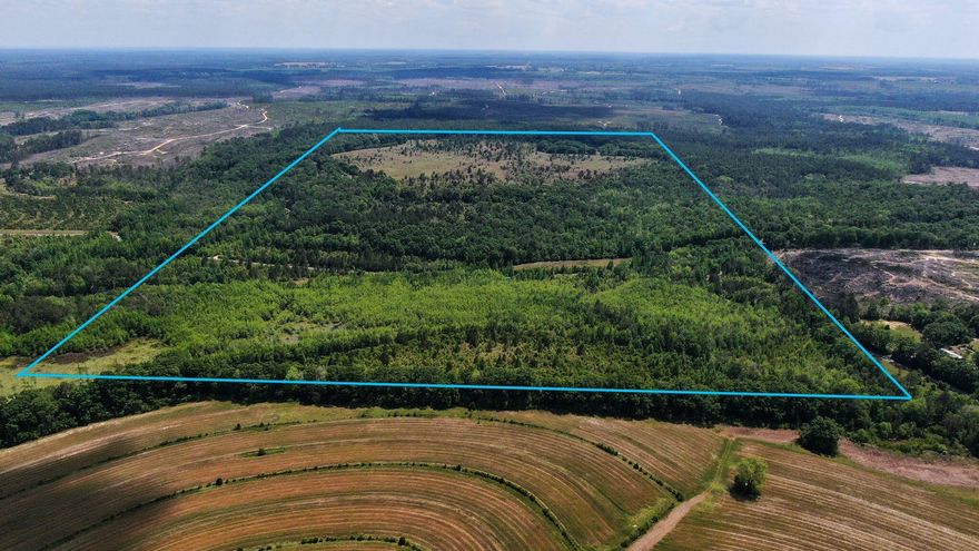 This is the paradise you have been looking for! The locals call this property ''Top of the World''. The views are magnificent and must be seen to appreciate. 240 acres of rolling hills and mature hardwoods await you. Bring your ATVs, UTVs and guns! Game and wildlife are in abundance, to include, deer and turkey. There is water on the property perfect for a pond. This area has been farmed in the past and would be easily be set up for that again. There are multiple home sites or use a recreational property. The white, sandy beaches of South Walton are less than an hour drive.4 parcels make up the 240 acres and will not be split.