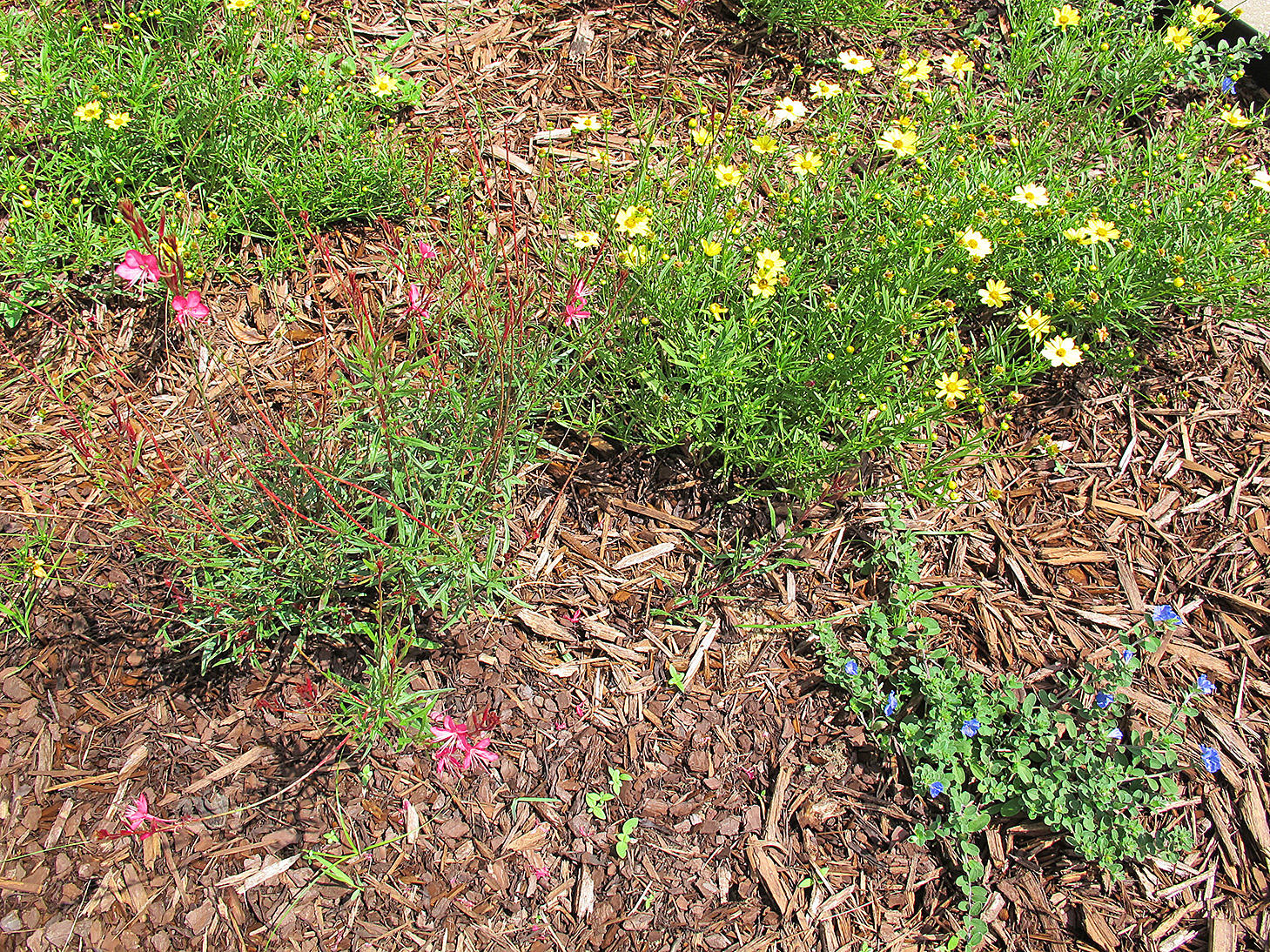 BENT TREE S/D - Residential