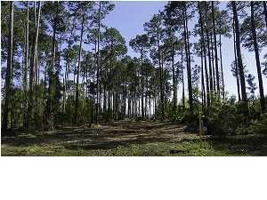 PRICE REDUCTION! Fantastic views and Sunsets. This WATERFRONT lot one of the few remaining located with-in Dana Pointe, this is the place to build your dream home. The lot has been semi cleared, a wooden bulk head (sea wall) and blue stone rip wrap. The sub-division offers a park with boat launch area with a dock to go fishing off of or just picnicking with it's covered pavilion.