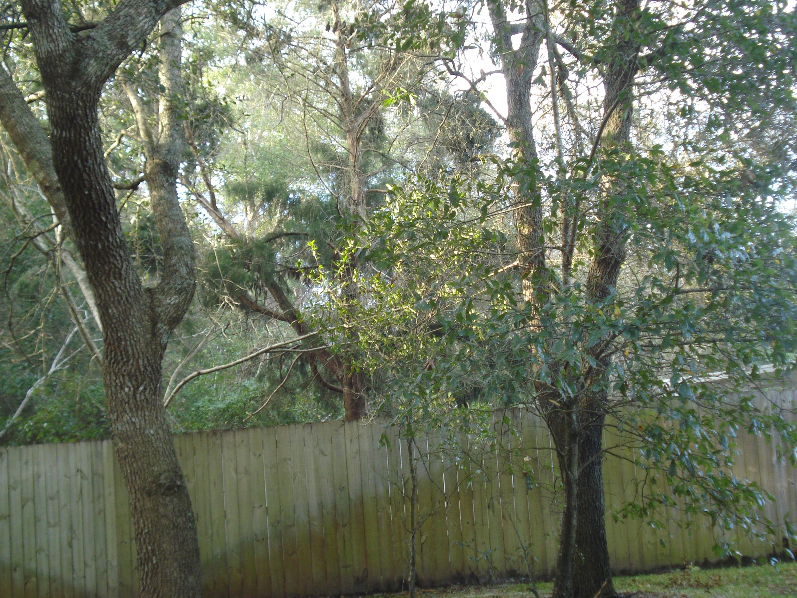 OAK PARK ESTATES, 1ST ADDITION - Residential Lease