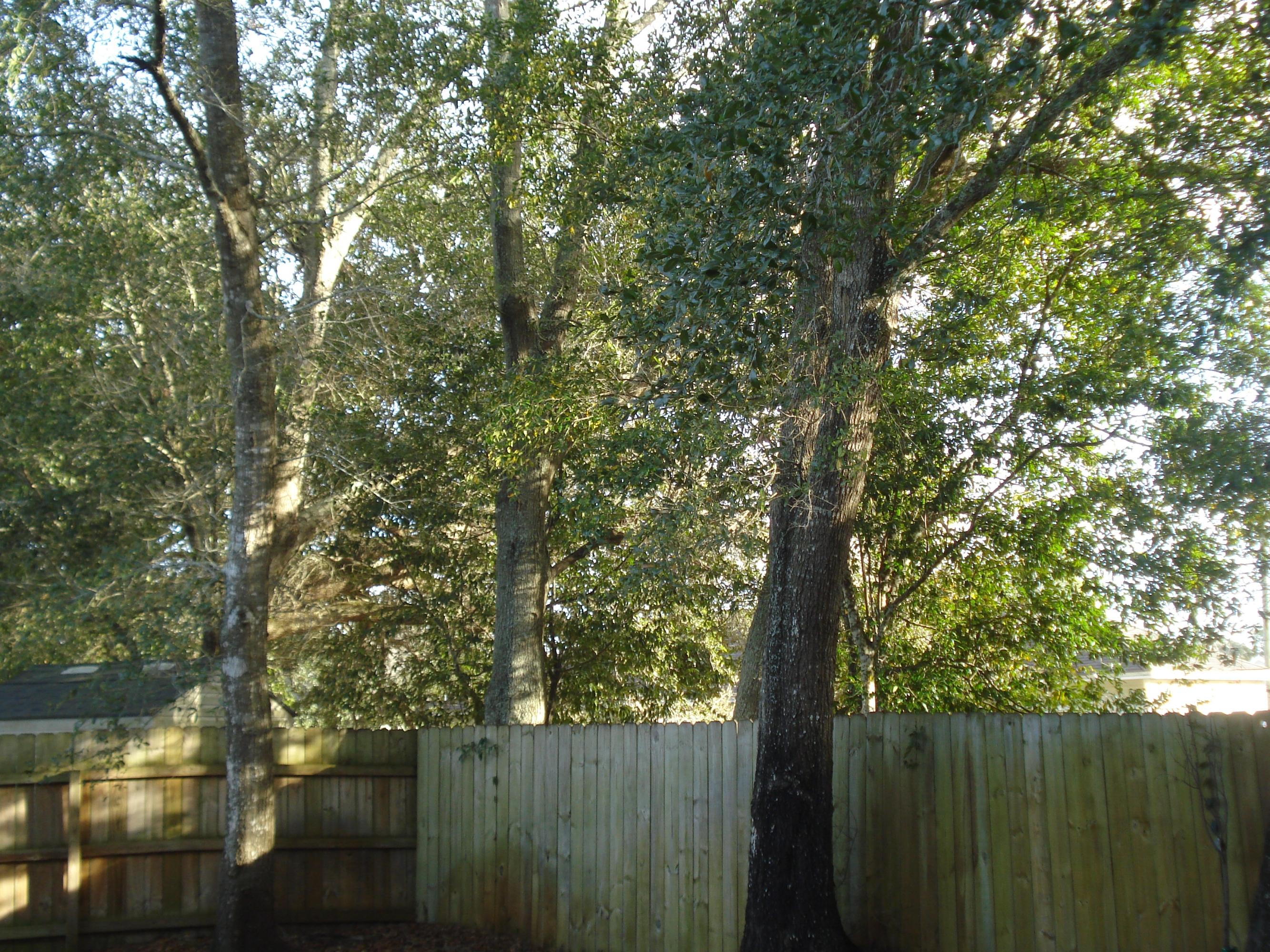 OAK PARK ESTATES, 1ST ADDITION - Residential Lease