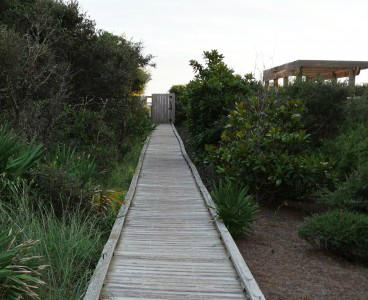 MAGNOLIA COTTAGES BY THE SEA - Residential