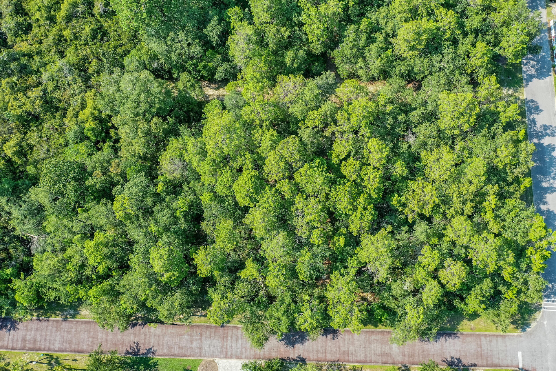 GRAYTON BAYOU - Land