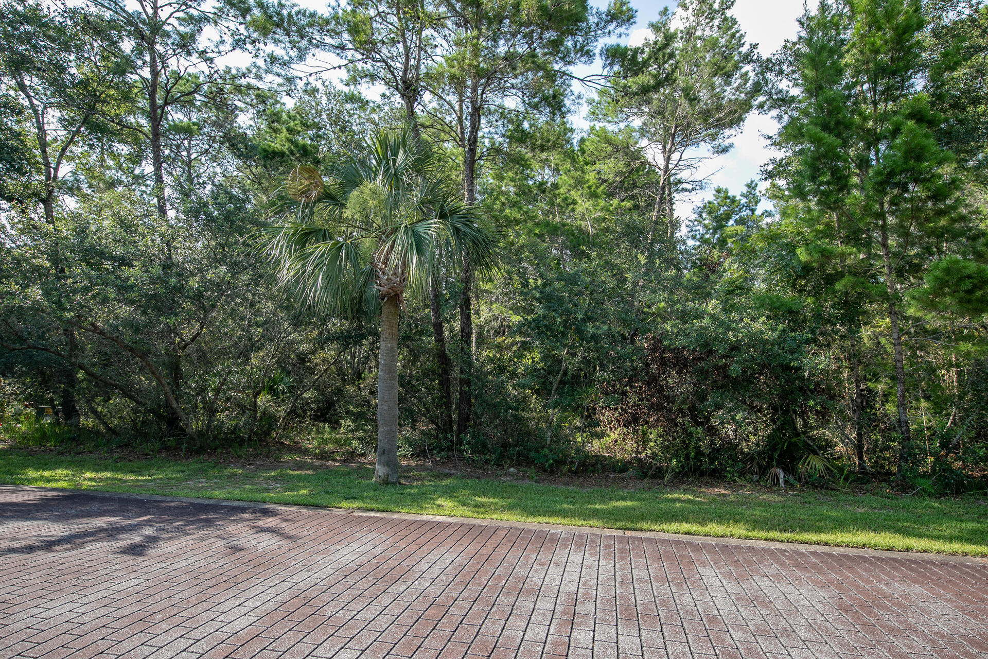 GRAYTON BAYOU - Land