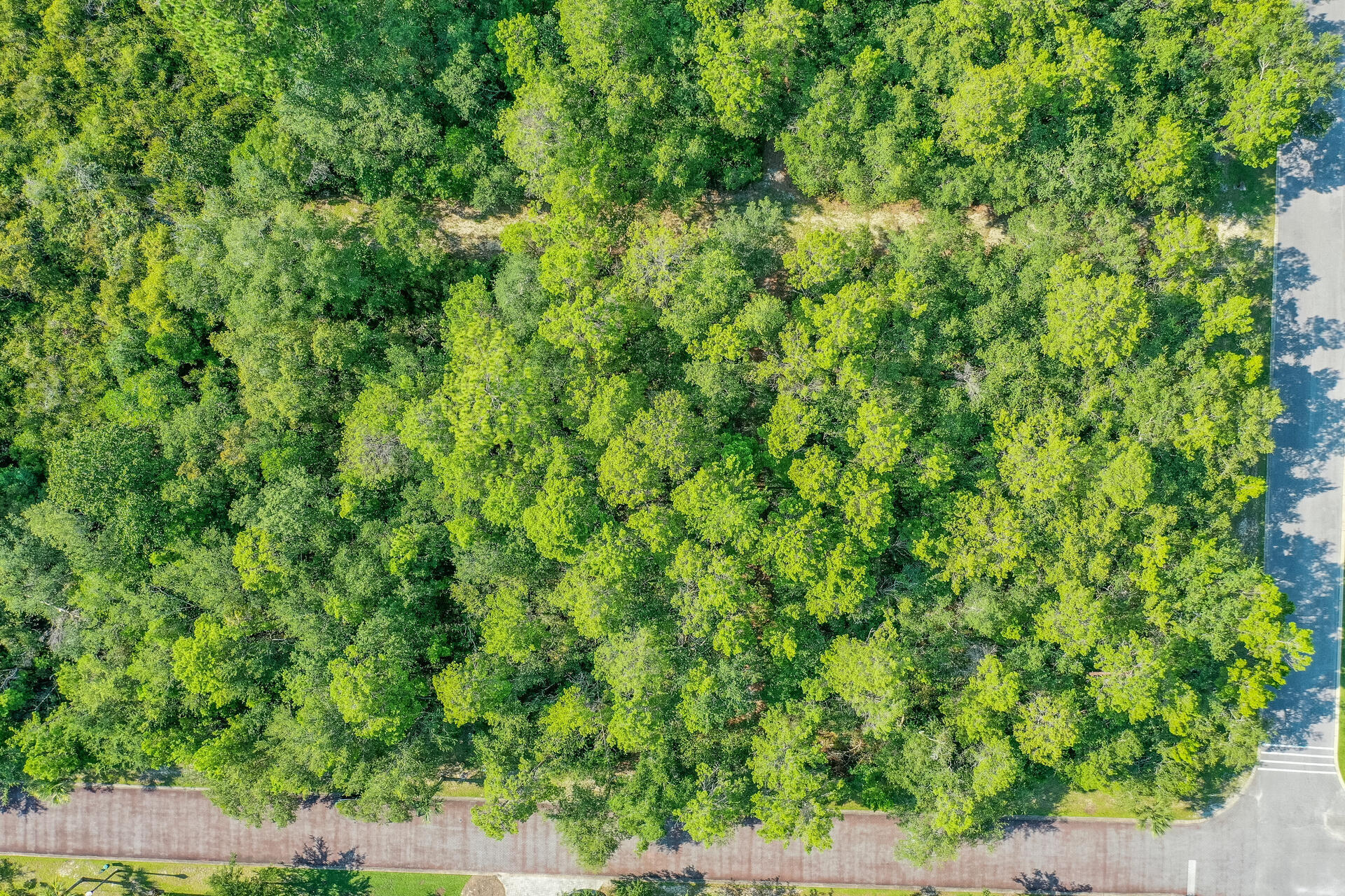 GRAYTON BAYOU - Land